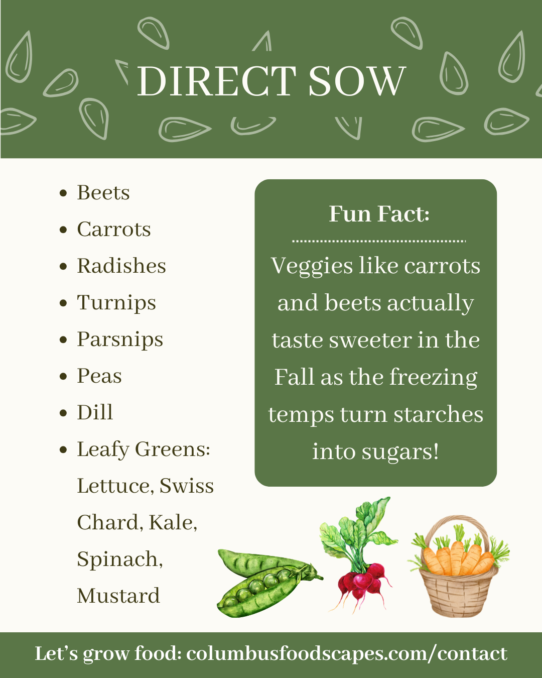 What to plant in August