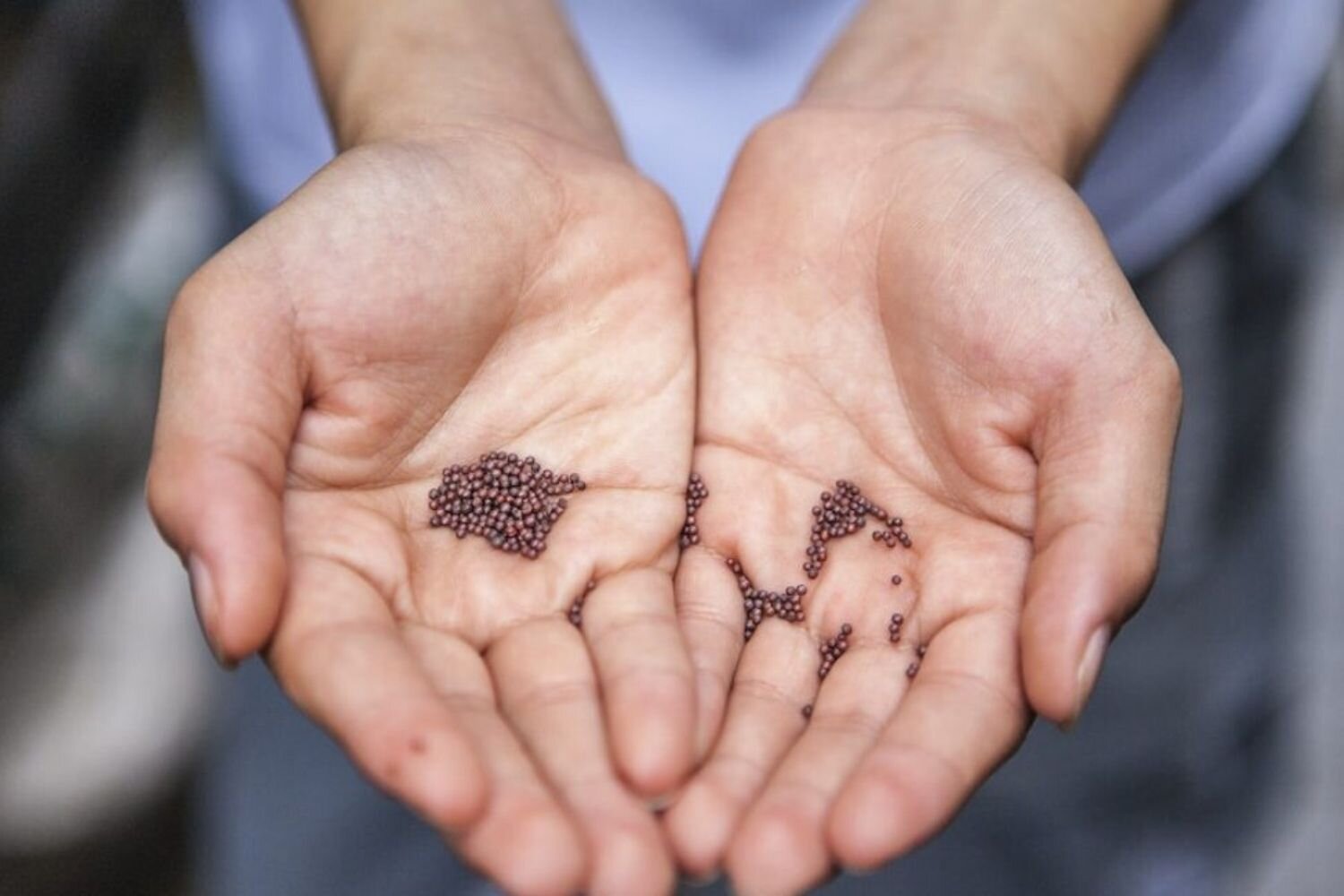 What Is God Doing In The World?