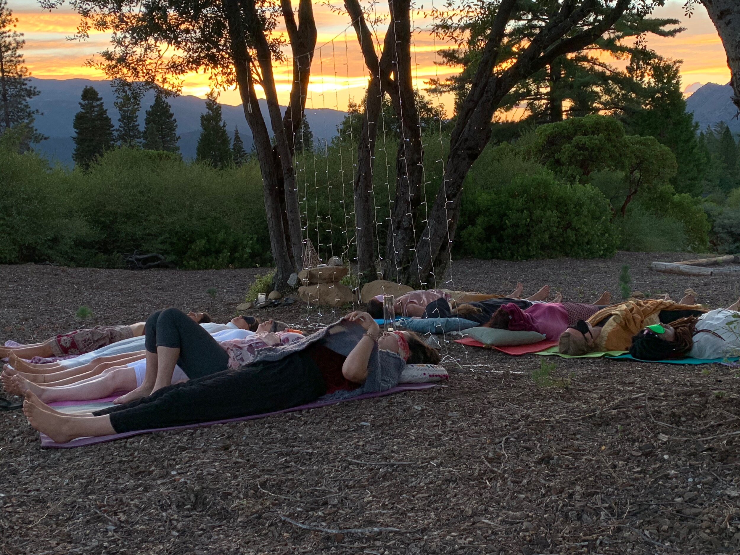 lisa-gniady-quantum-healing-field-of-light-akashic-clearing-training-certification