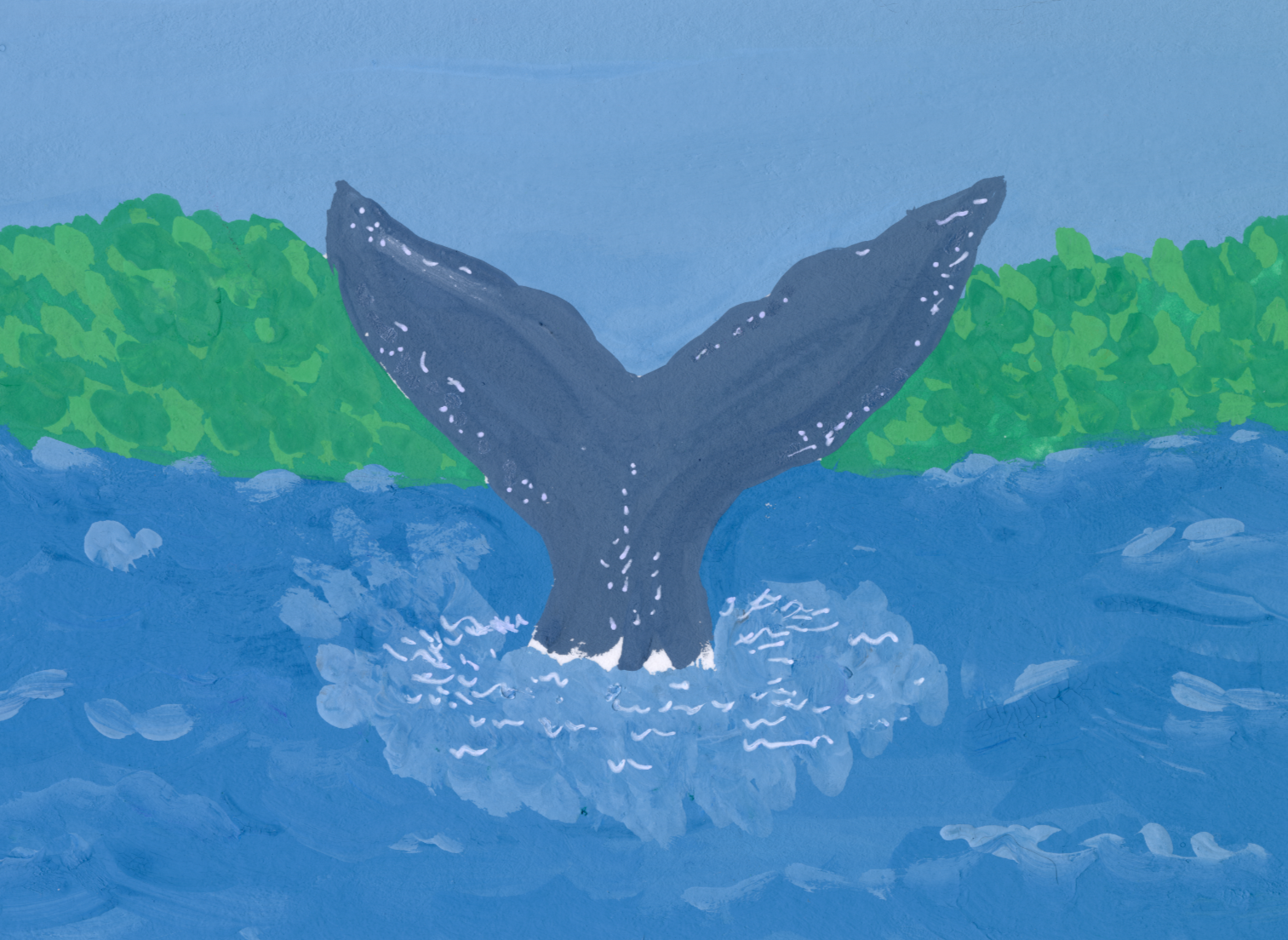 Whale-WhiteBorder.png