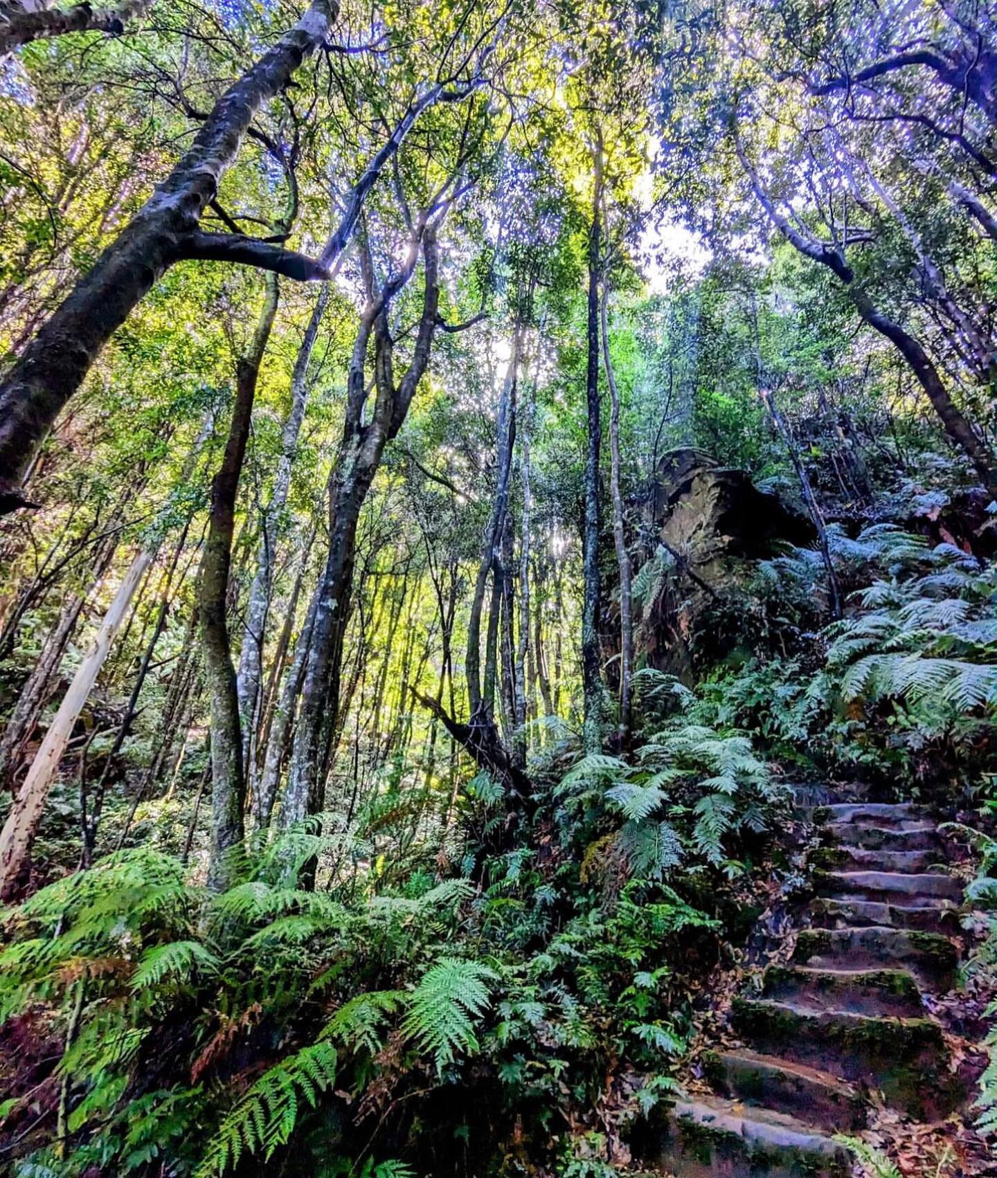 We live in such a beautiful part of the world 😍

Do you love going on hikes and adventures?&nbsp;

Leura and The Blue Mountains have such lovely places to explore.&nbsp;

Head out for a walk and then have some lunch at Cafe Leura.&nbsp;

Where are y