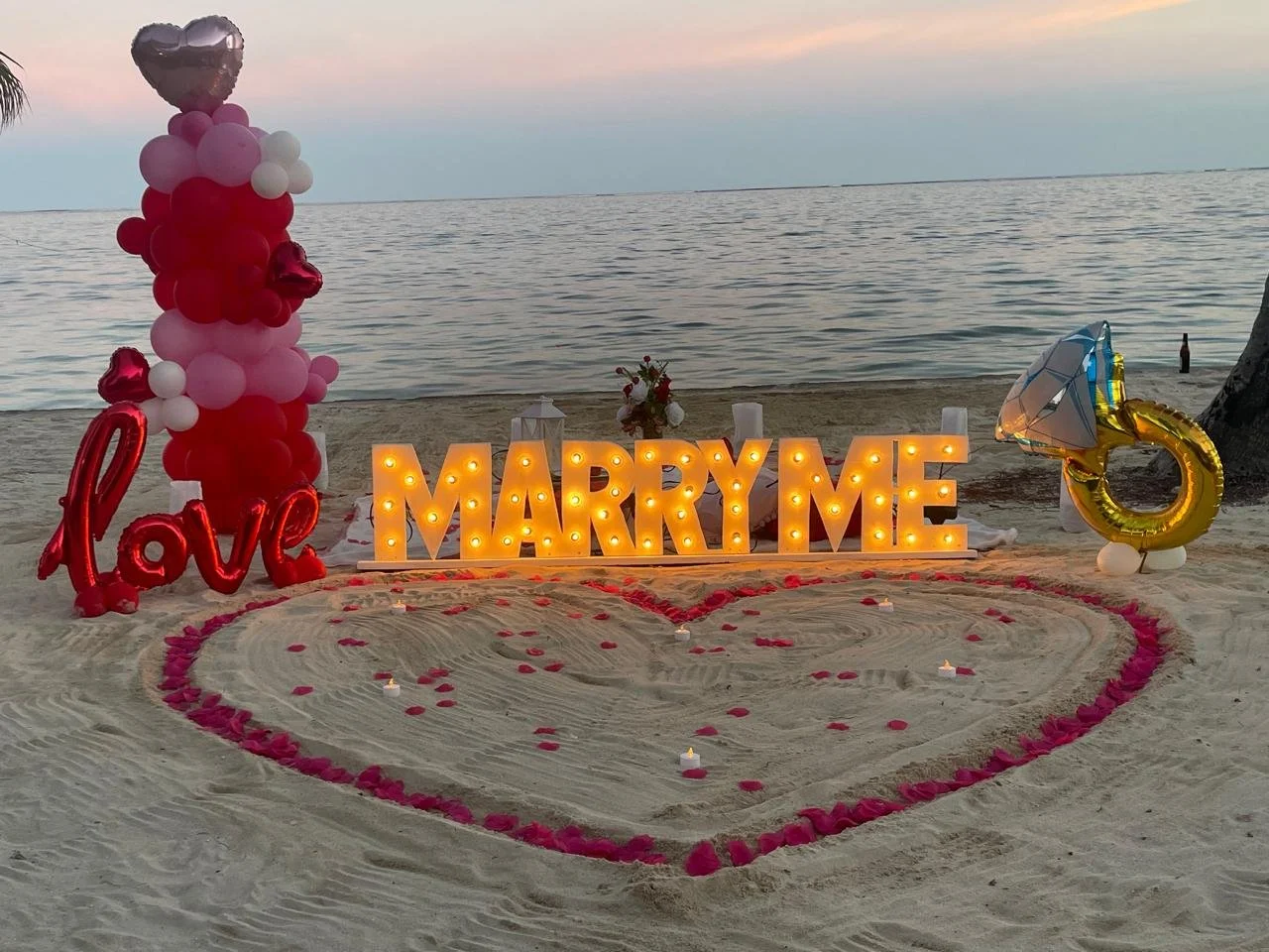 Beach Proposal