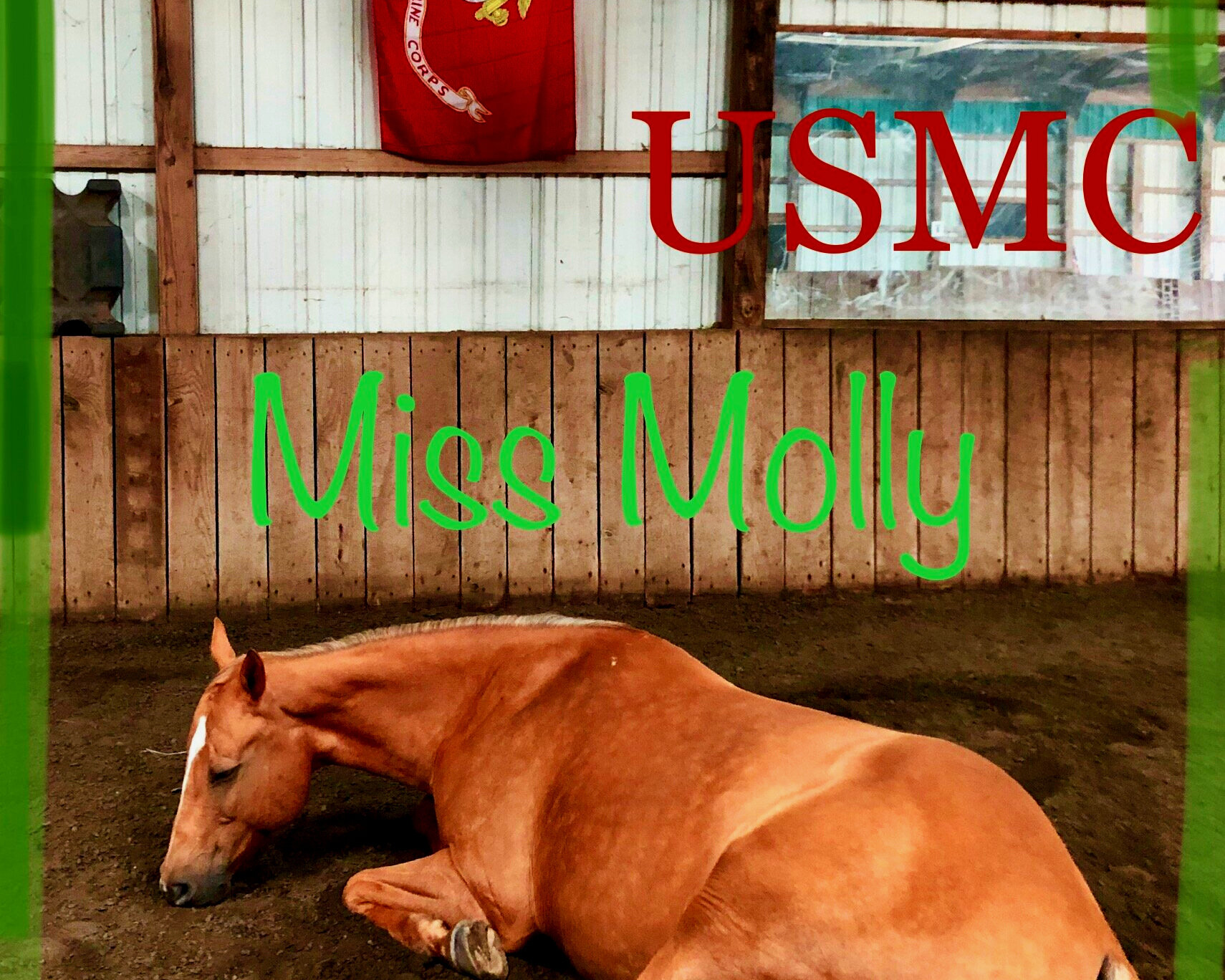 usmc+Miss+Molly+2020.jpg