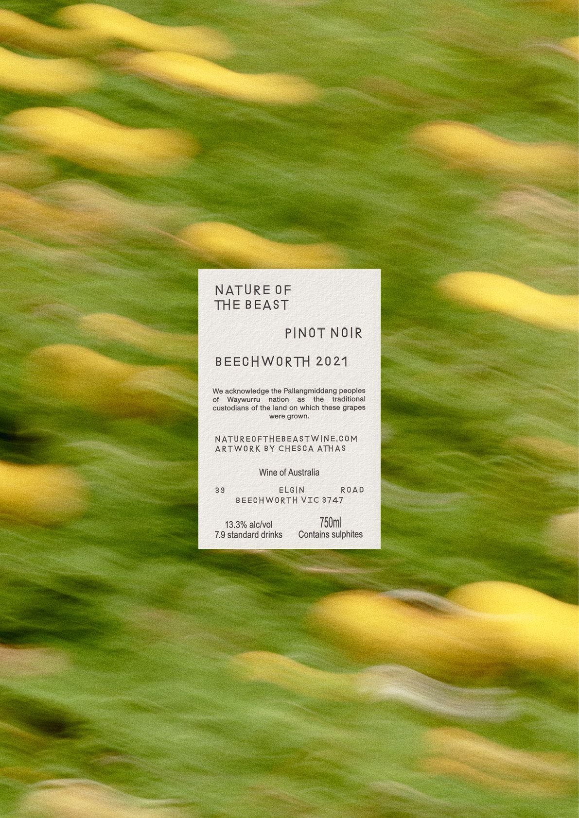 Pinot Back Label.jpeg