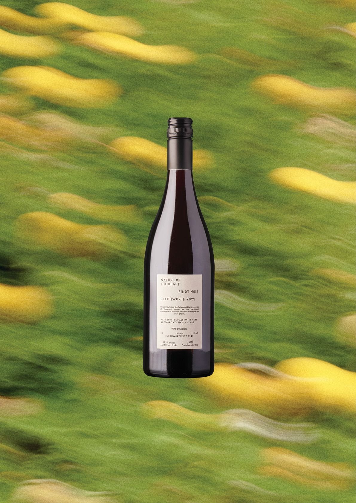 Pinot Bottle Back.jpeg