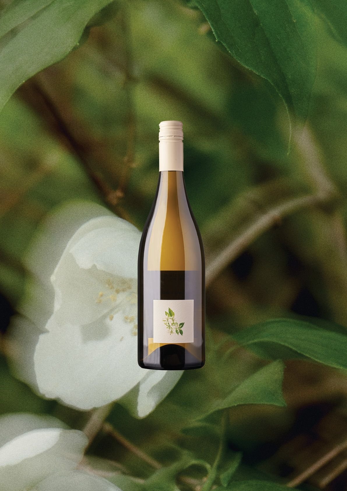 Chardonnay Bottle Front.jpeg