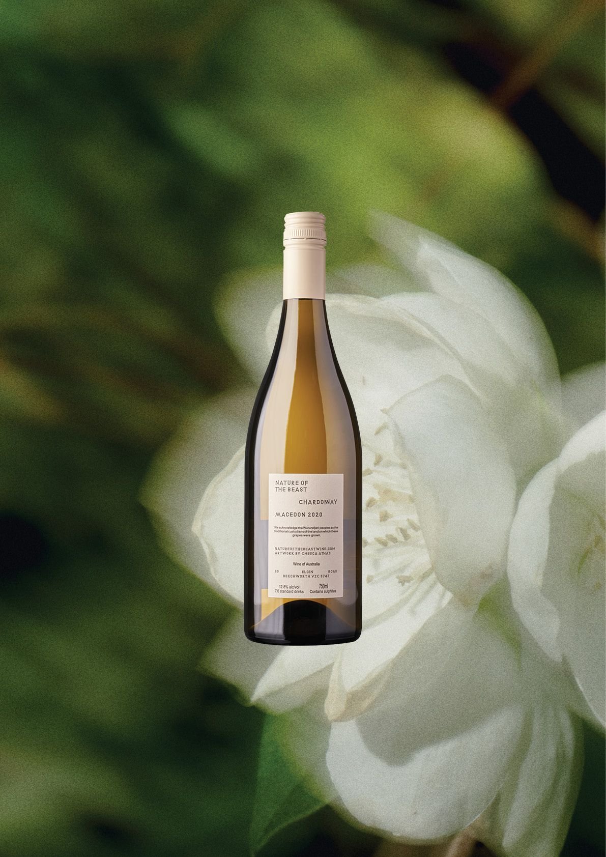 Chardonnay Bottle Back Label.jpeg
