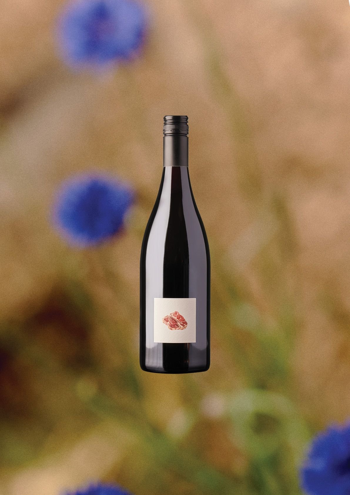 Barbera BOTTLE fROTN .jpeg