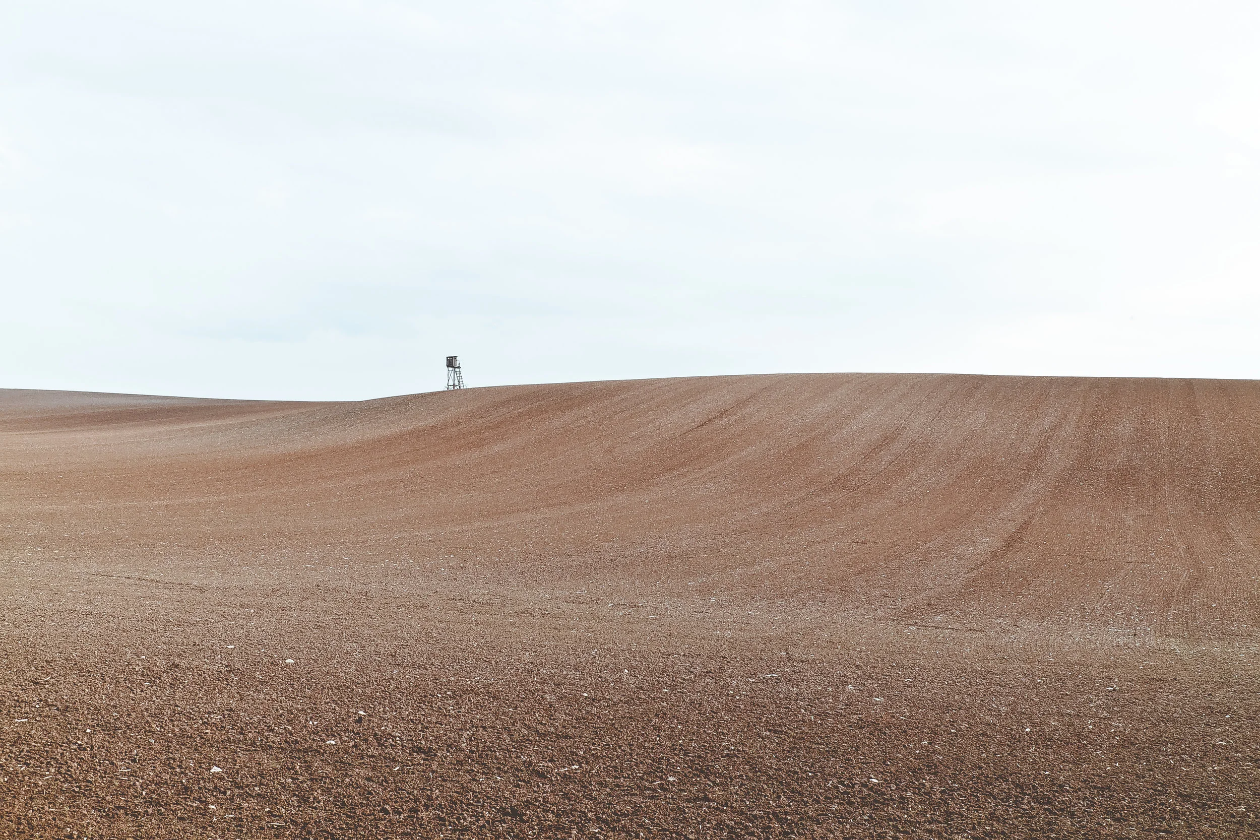 Example Critical Analysis