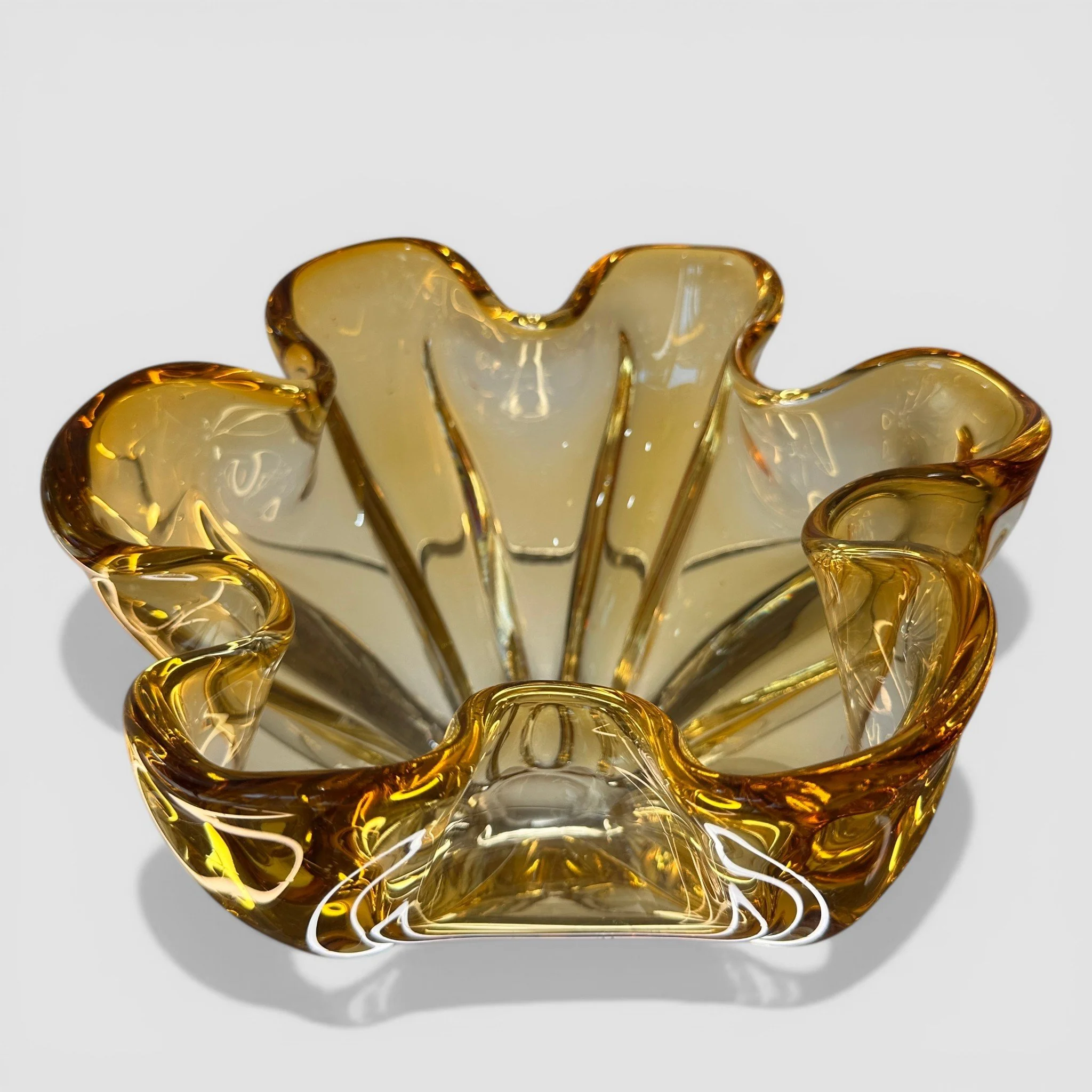 IMG_6554 2-Photoroom.jpg