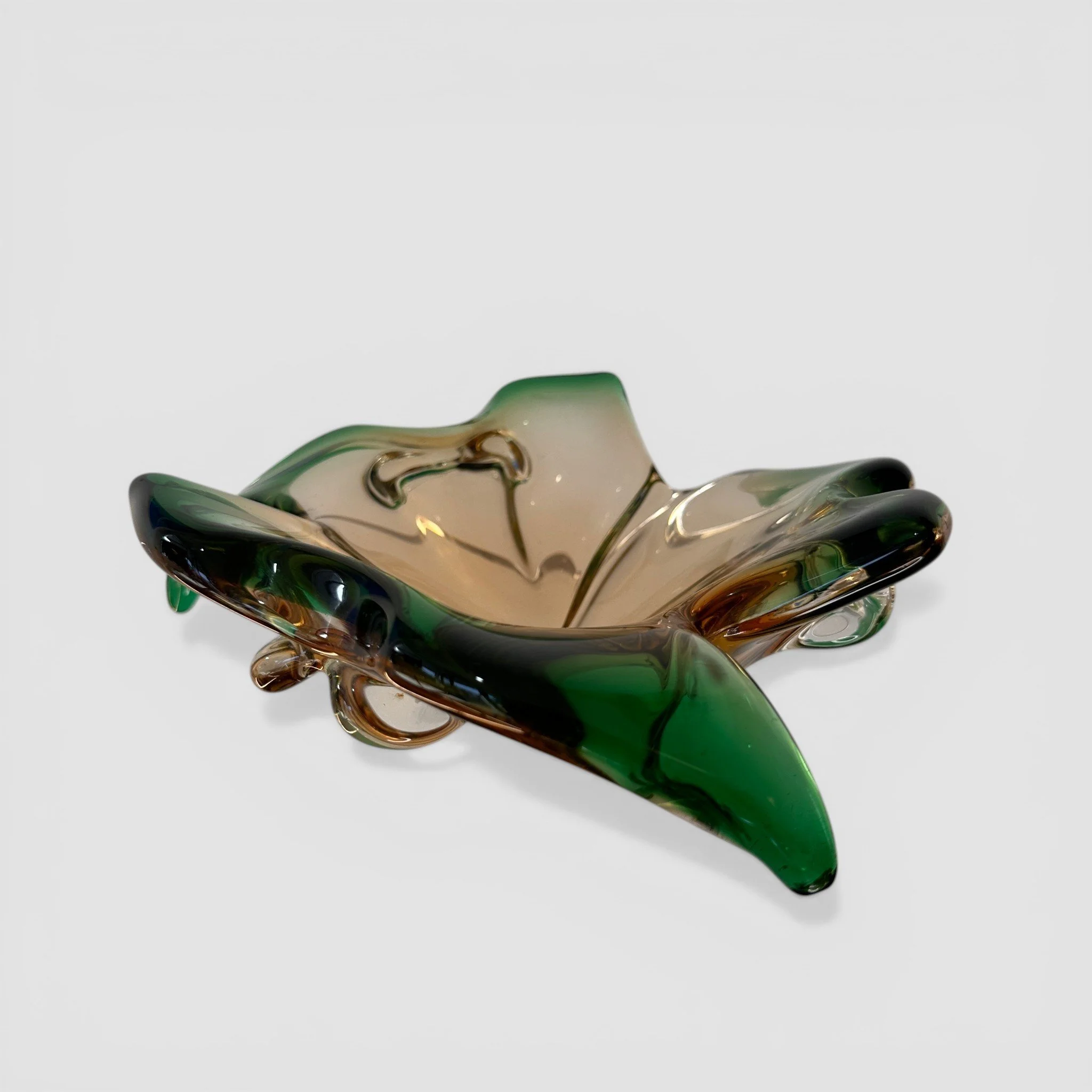 IMG_6524 2-Photoroom.jpg