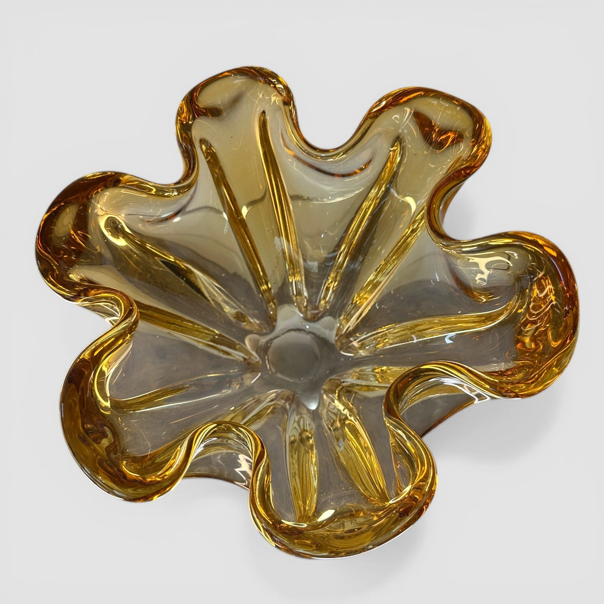 IMG_6557 2-Photoroom.jpg