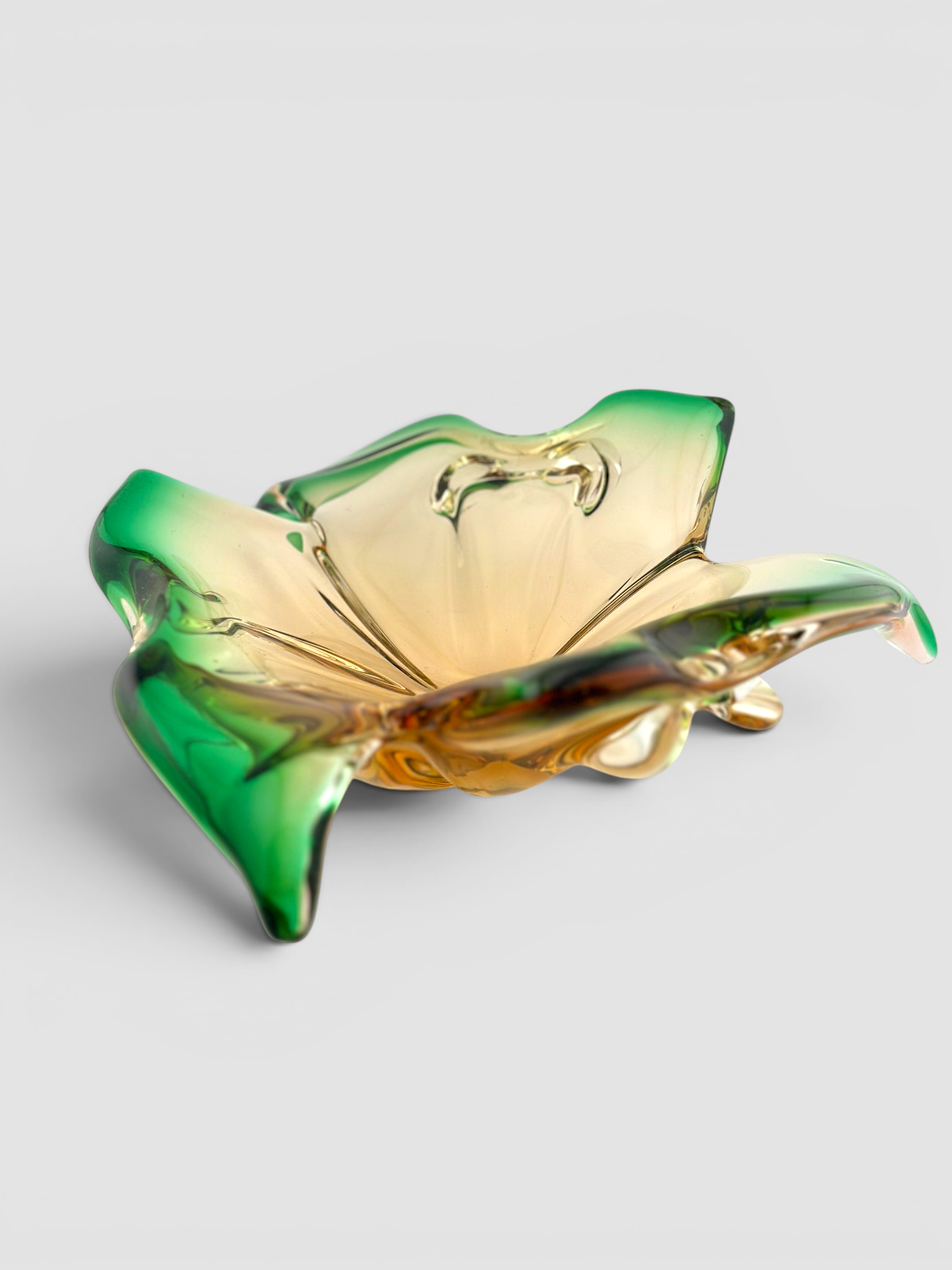 IMG_8813 2-Photoroom.png