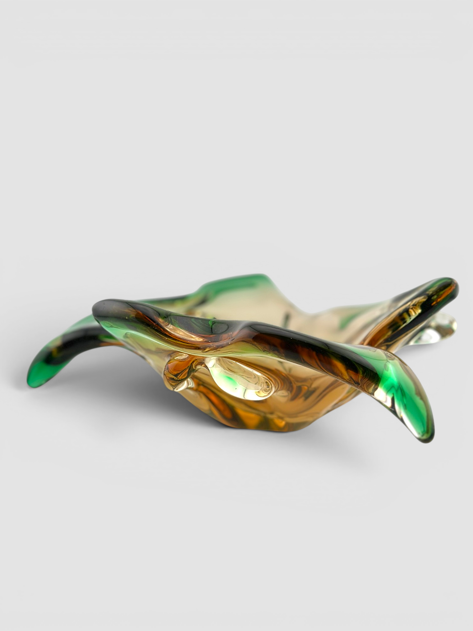 IMG_8811 2-Photoroom.png