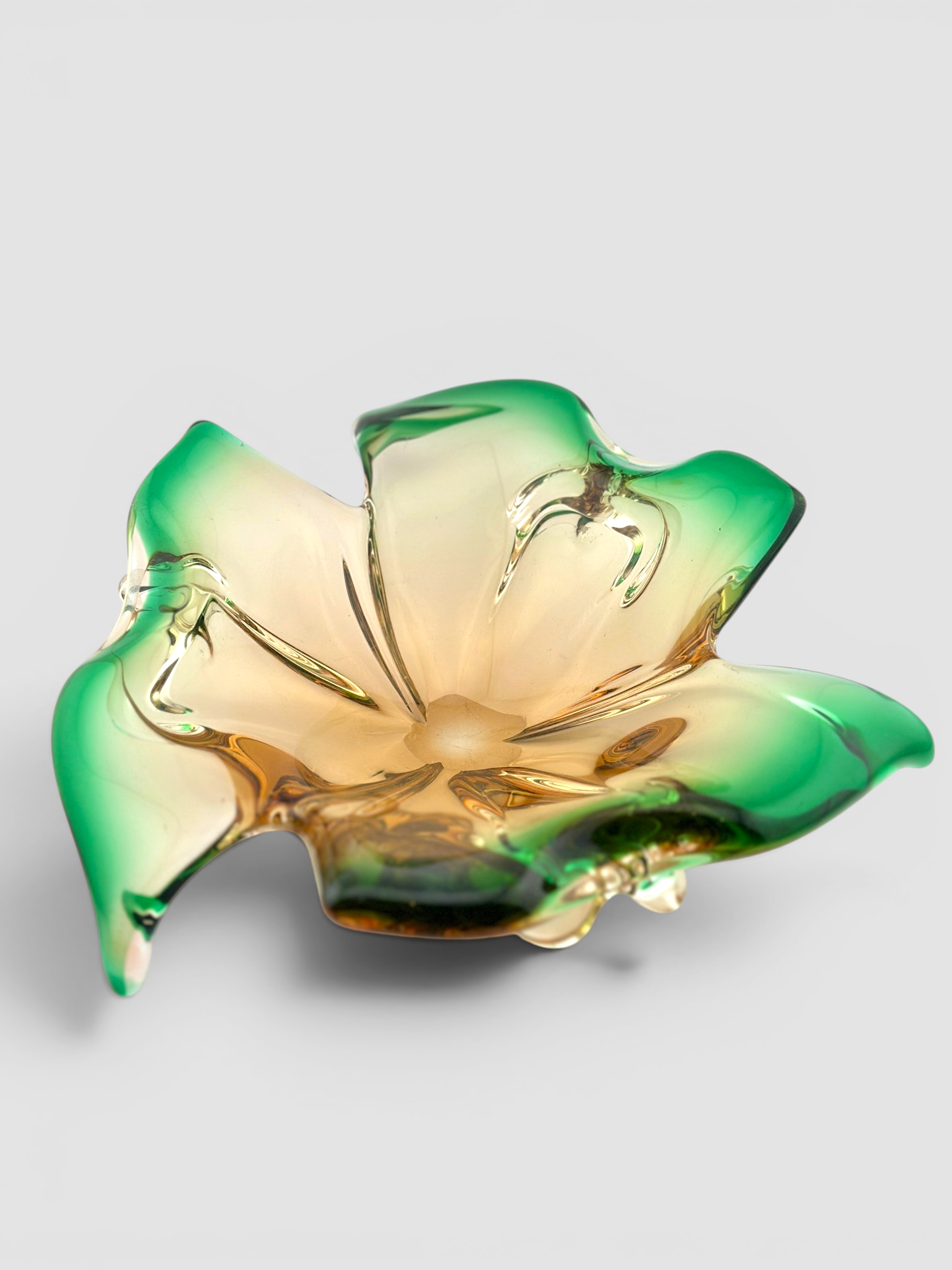 IMG_8819-Photoroom.png