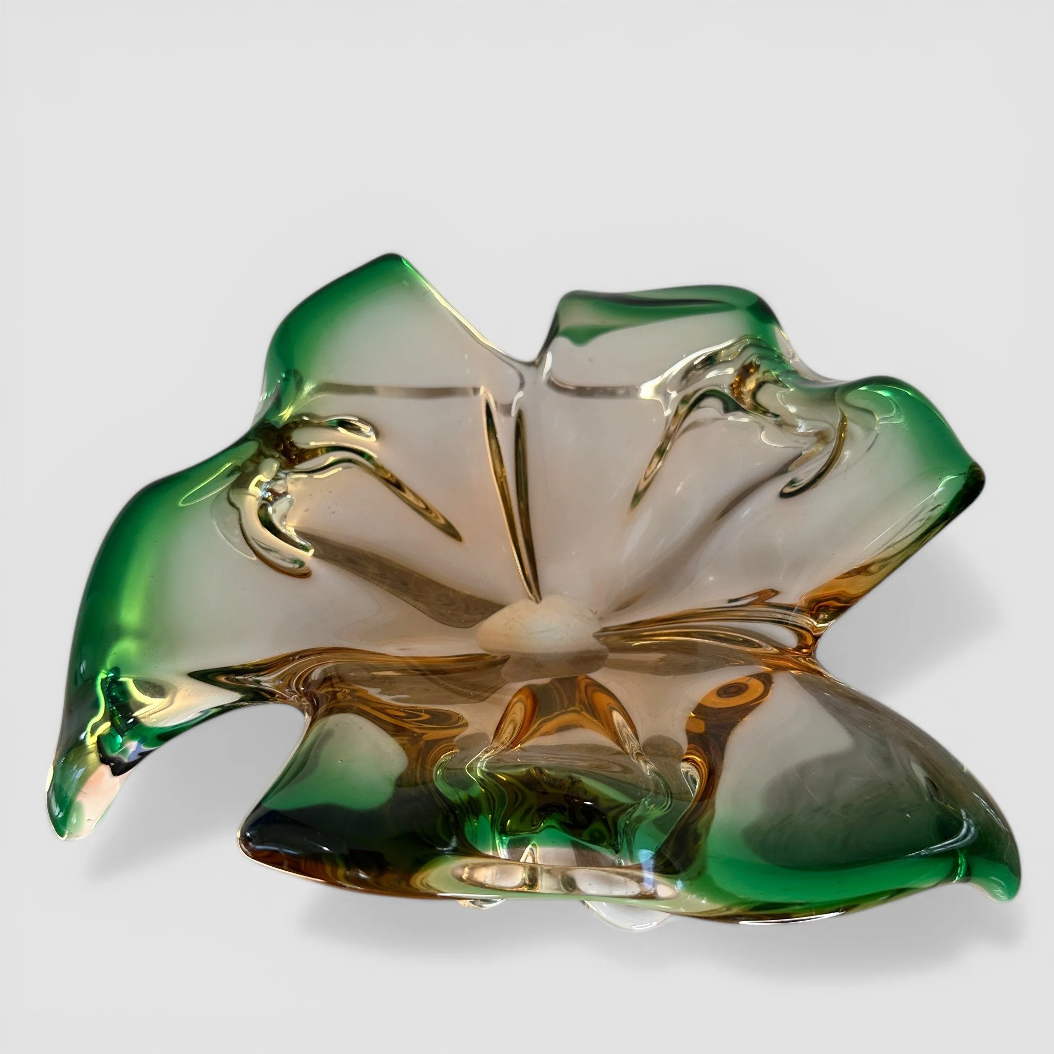 IMG_6526 2-Photoroom.jpg