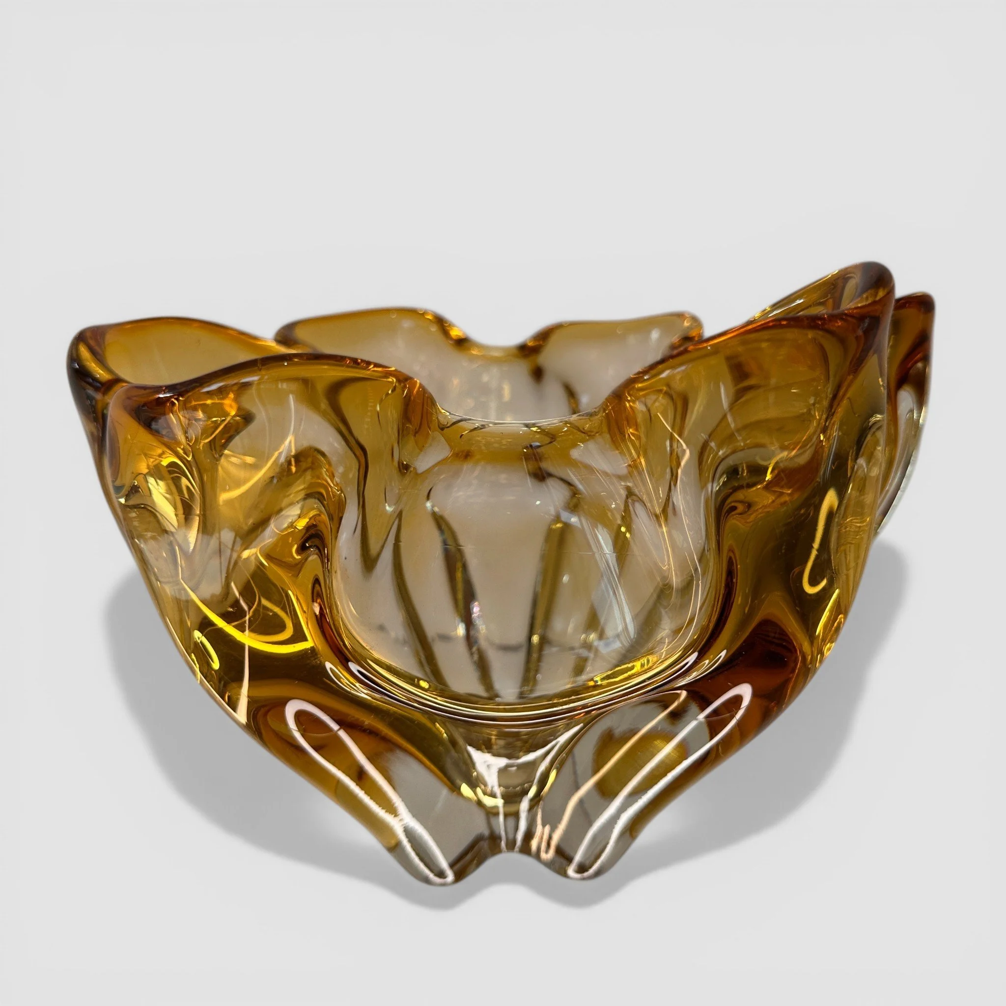 IMG_6553 2-Photoroom.jpg