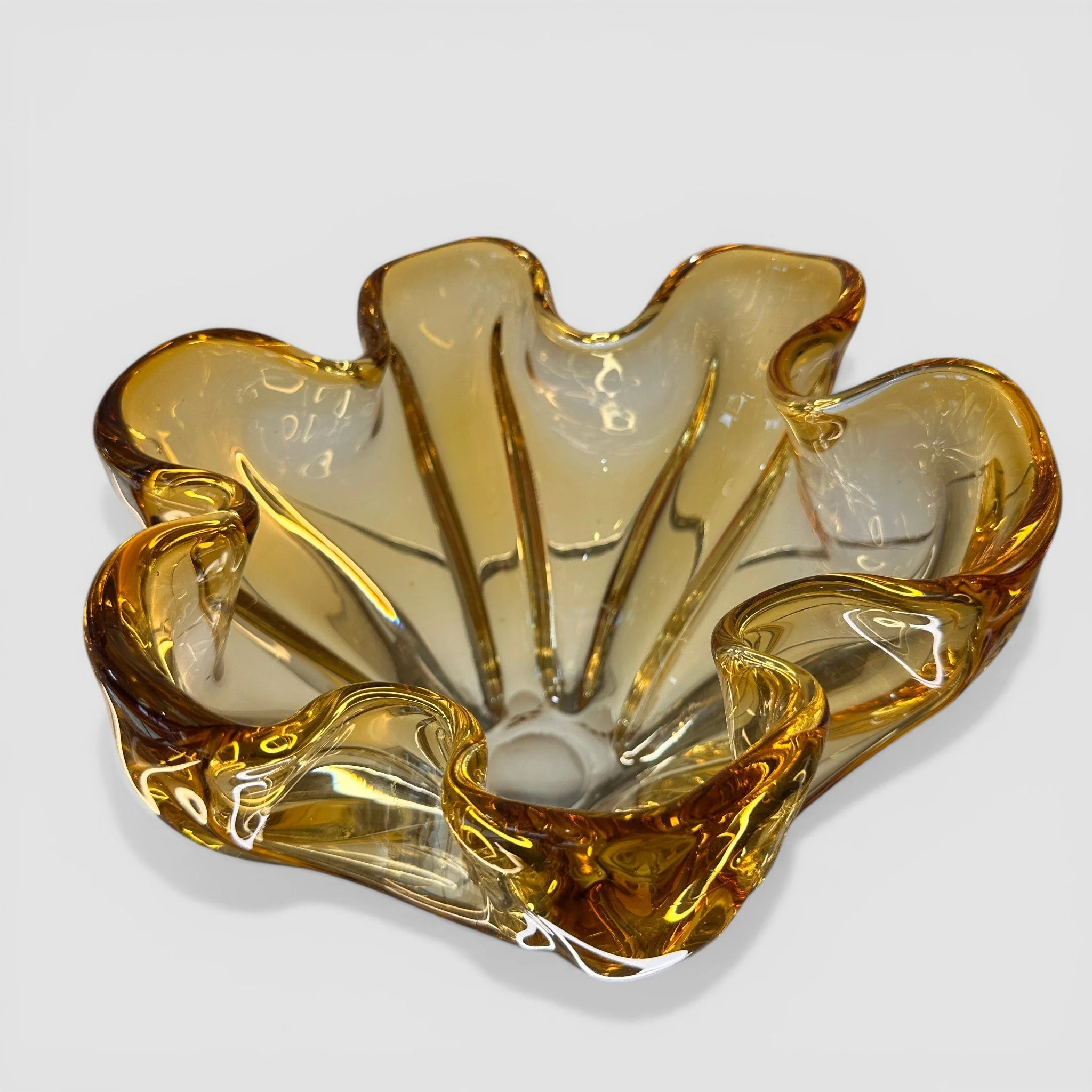 IMG_6555 2-Photoroom.jpg