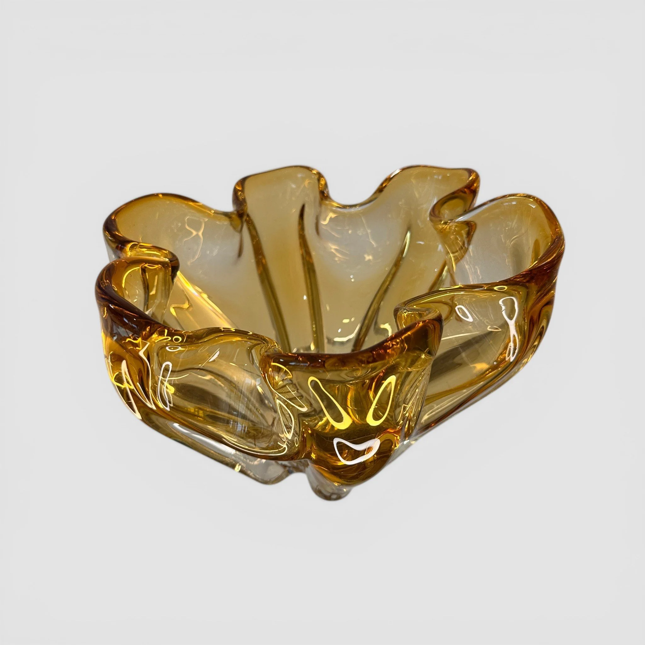 IMG_6556 2-Photoroom.jpg