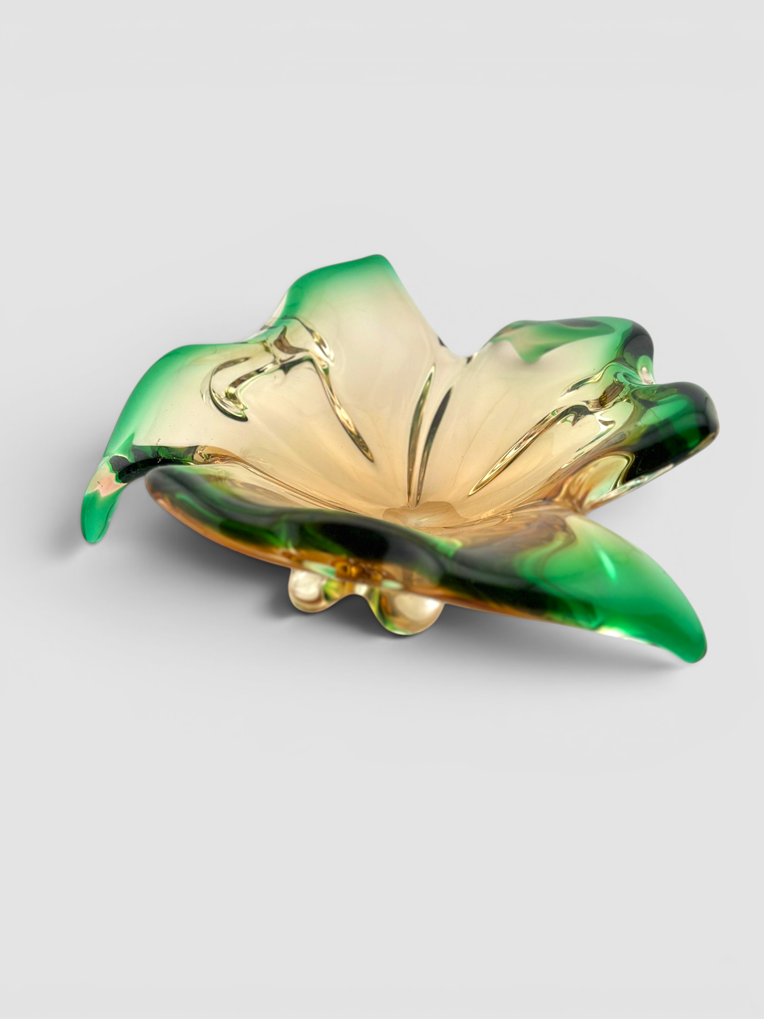 IMG_8815-Photoroom.png