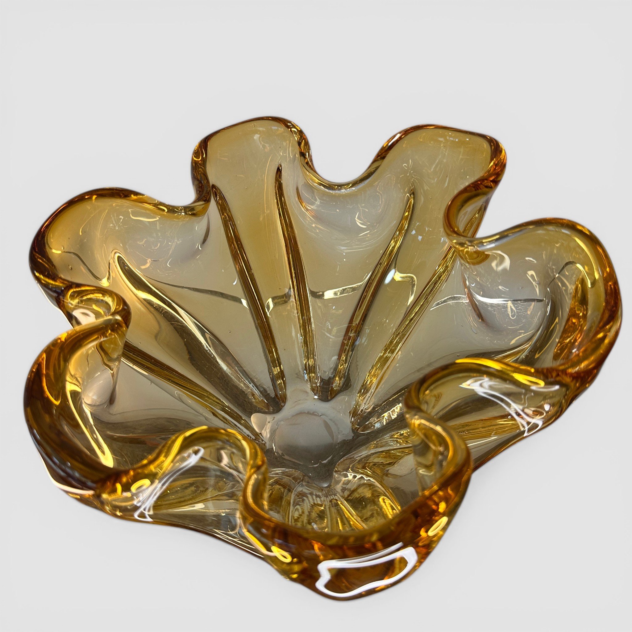 IMG_6558 2-Photoroom.jpg