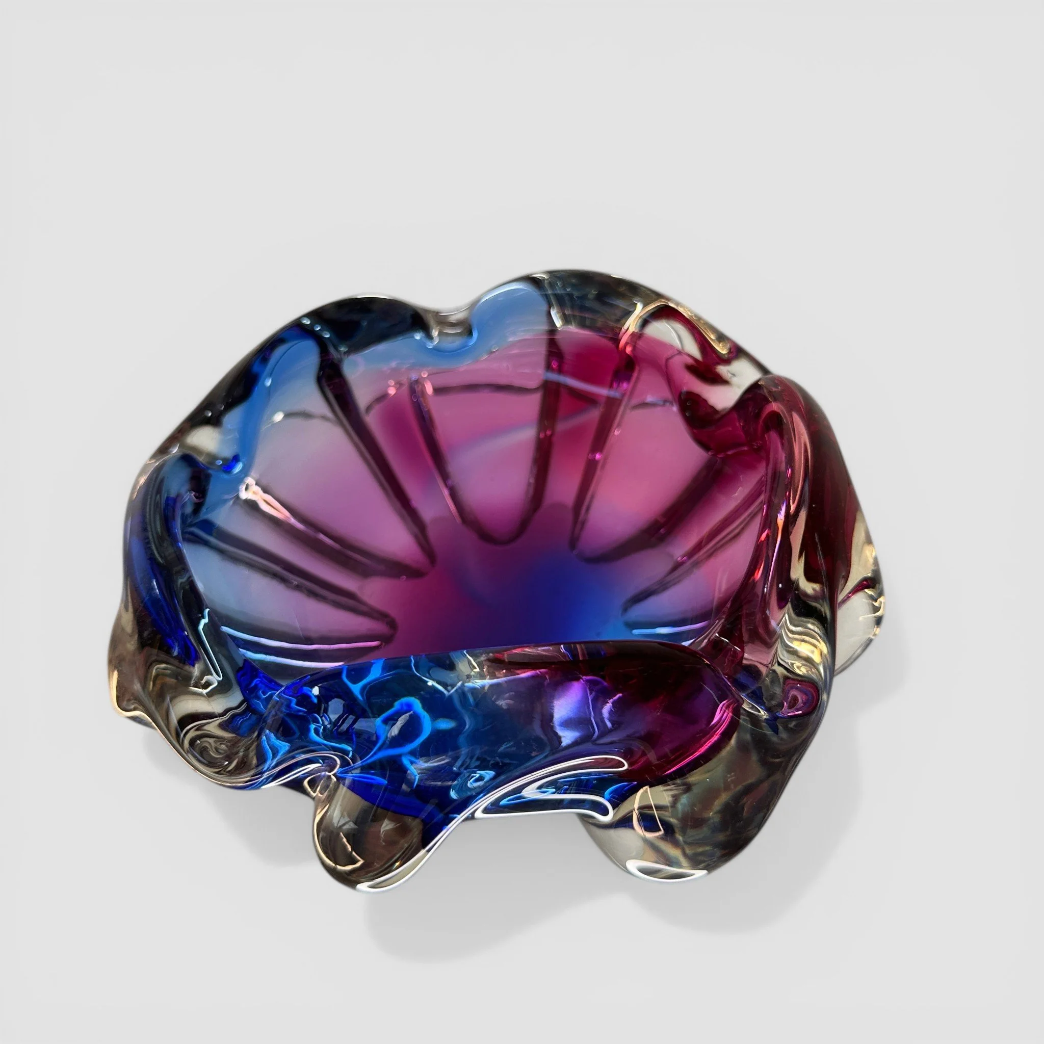 IMG_6564 2-Photoroom.jpg