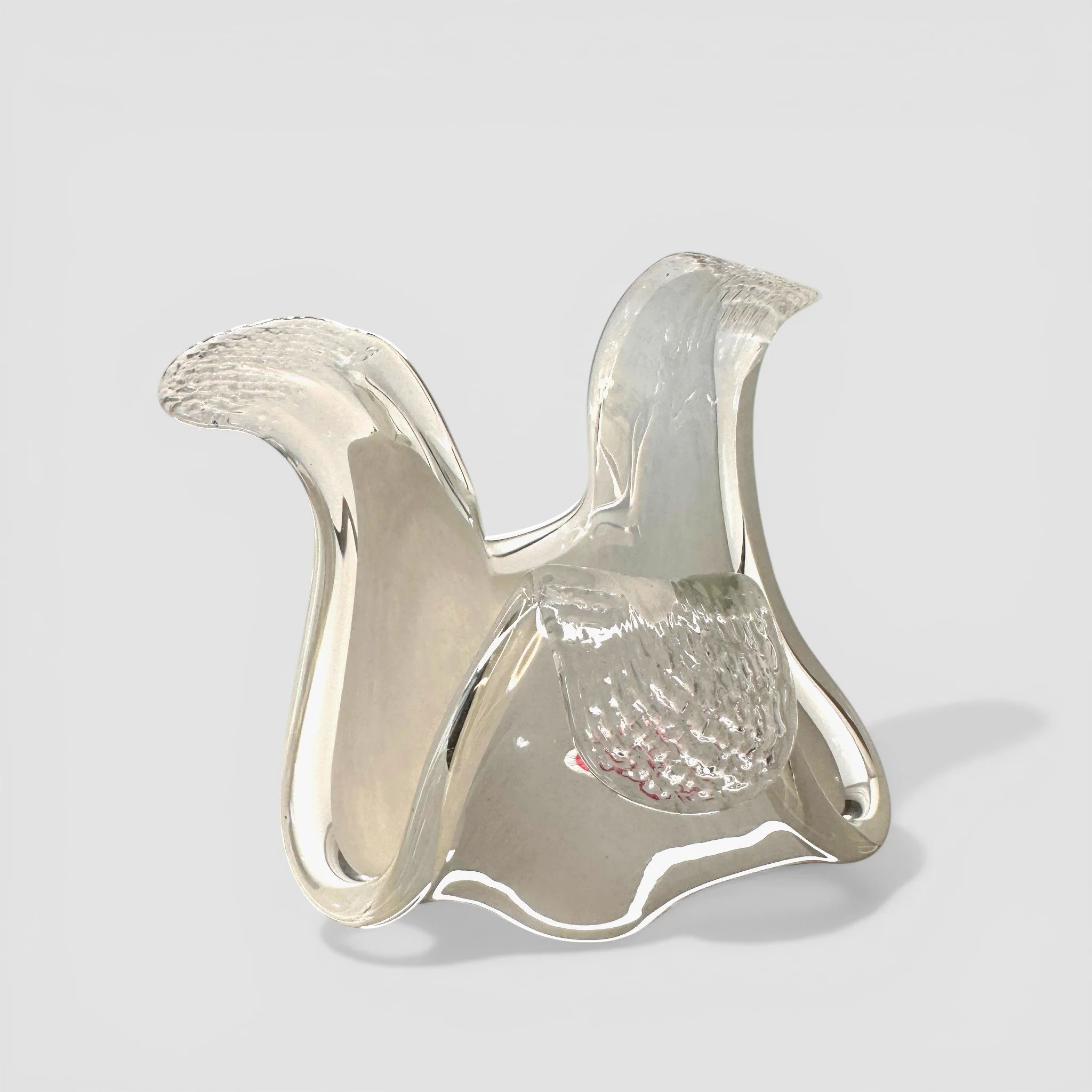 IMG_6533 2-Photoroom.jpg