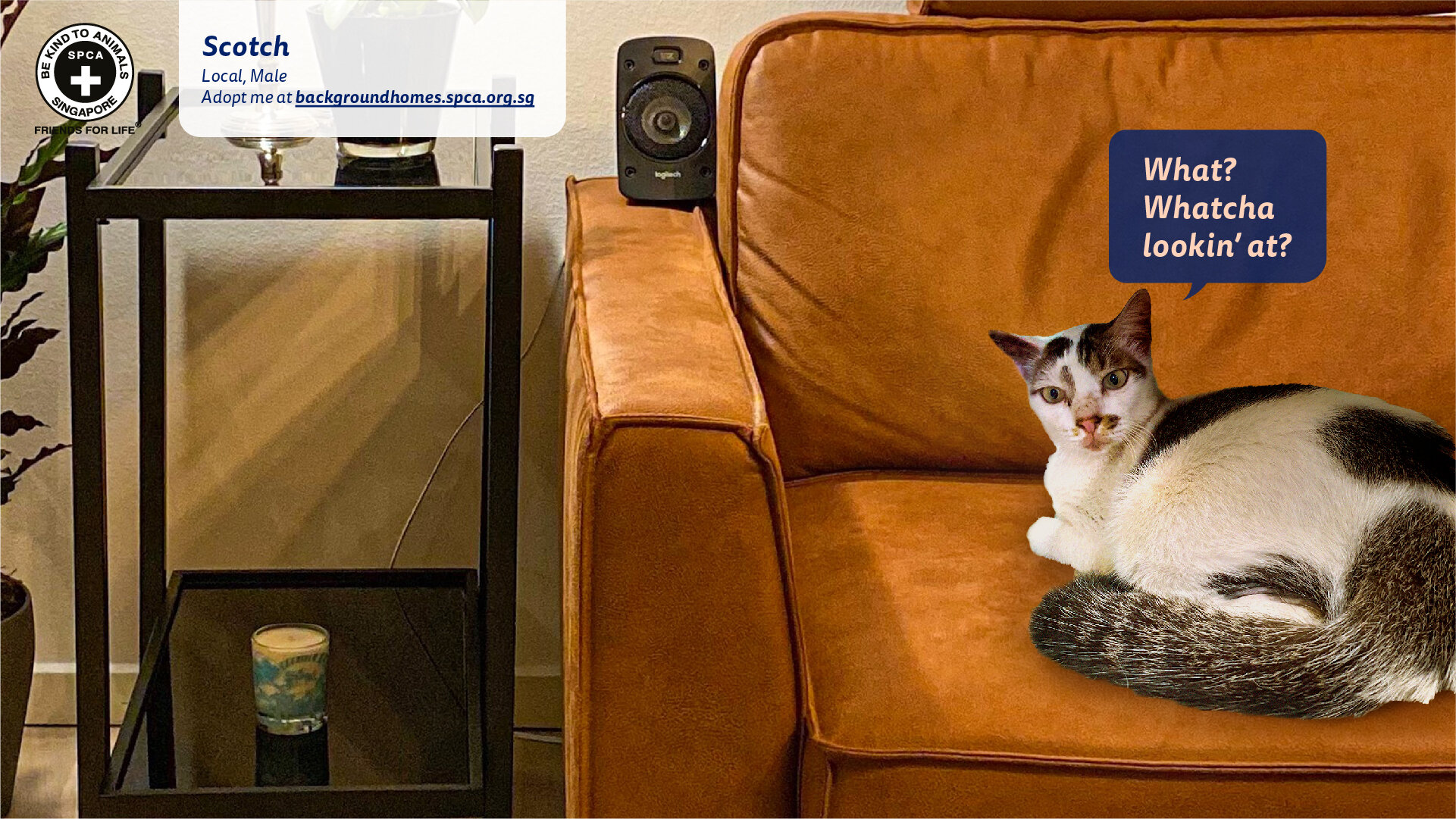 Adopt Me Pet Bed Anna Blog - 10 custom living room design ideas building hacks roblox adopt