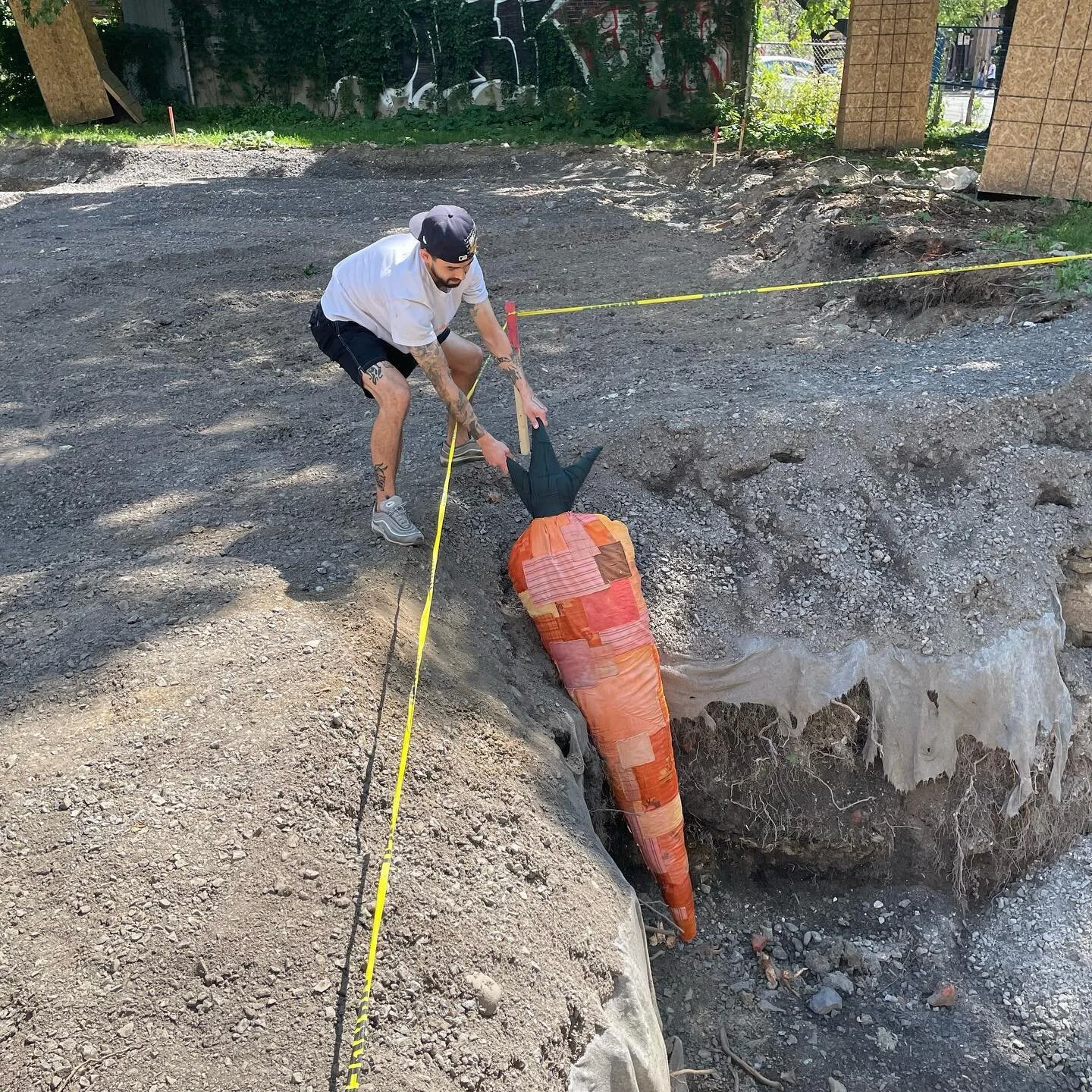 Found a giant carrot