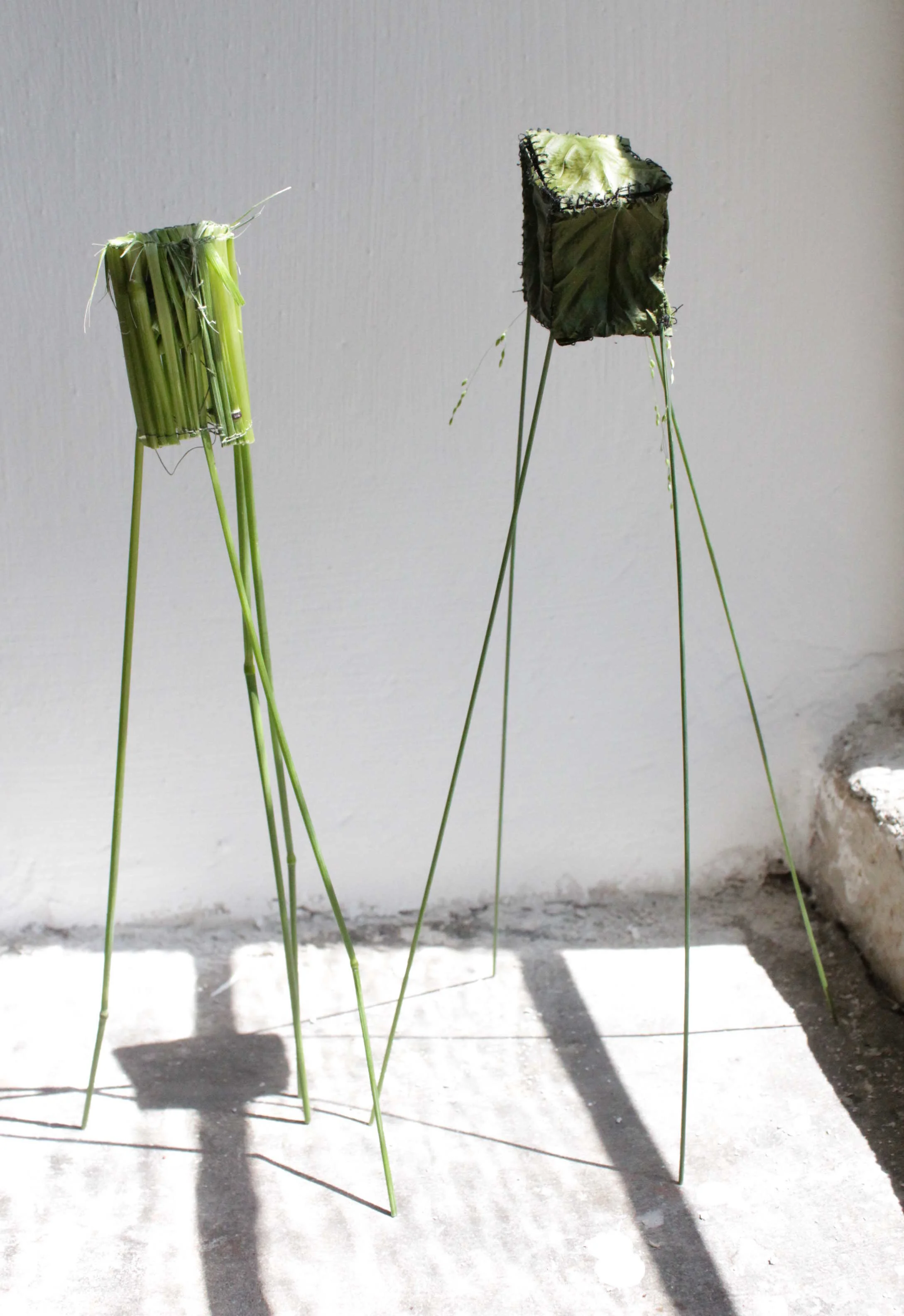 6-1 Haus 2017.jpg