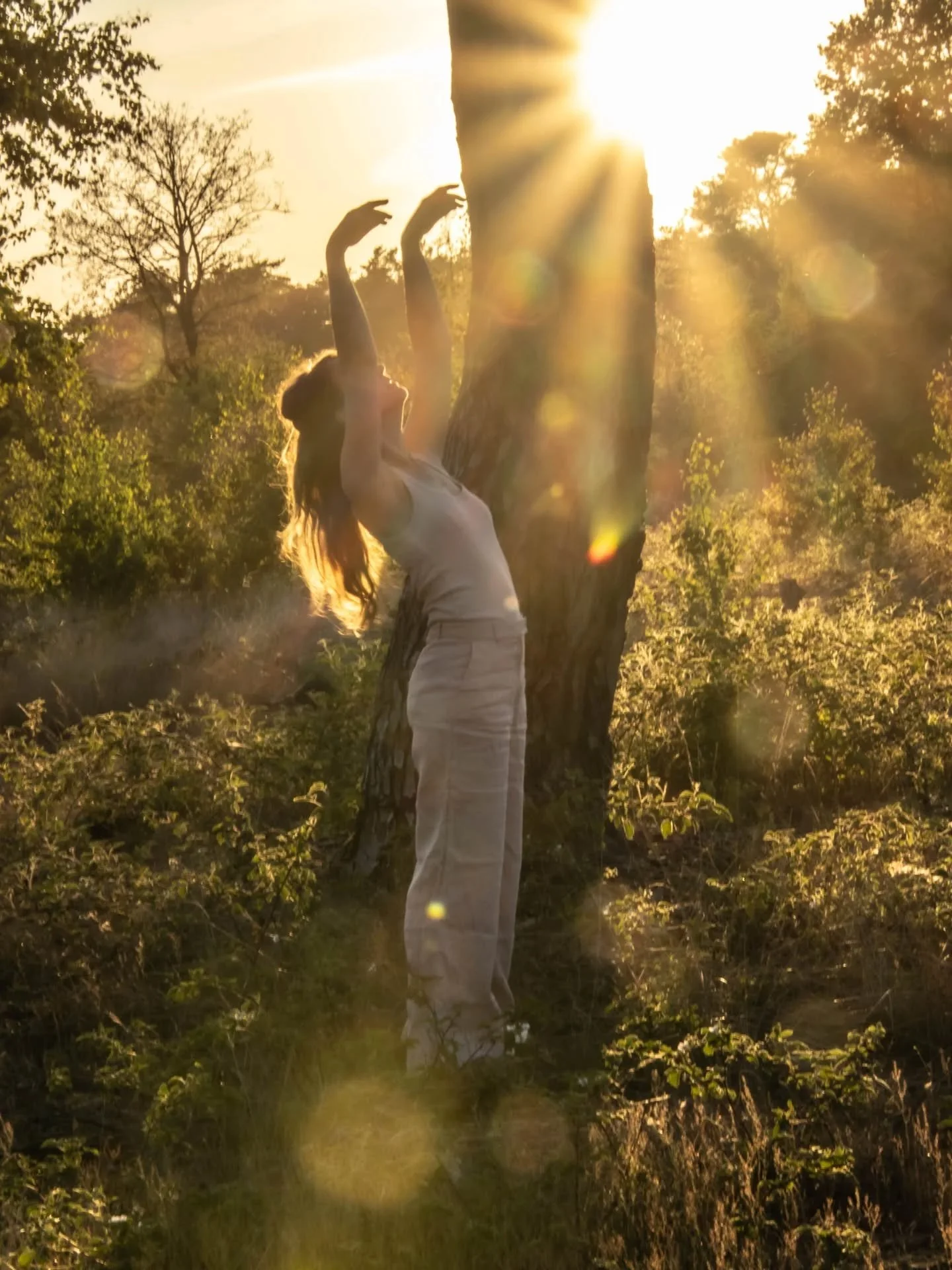 Met veel enthousiasme kondig ik aan dat er een nieuwe vrouwencirkel komt in oktober. ❤️
MUZE
Een vijf maanden cirkel en mentorship voor warme ondernemers. Voor vrouwen die een nieuw verhaal schrijven voor onze wereld en manier van leven. 
Vijf maa
