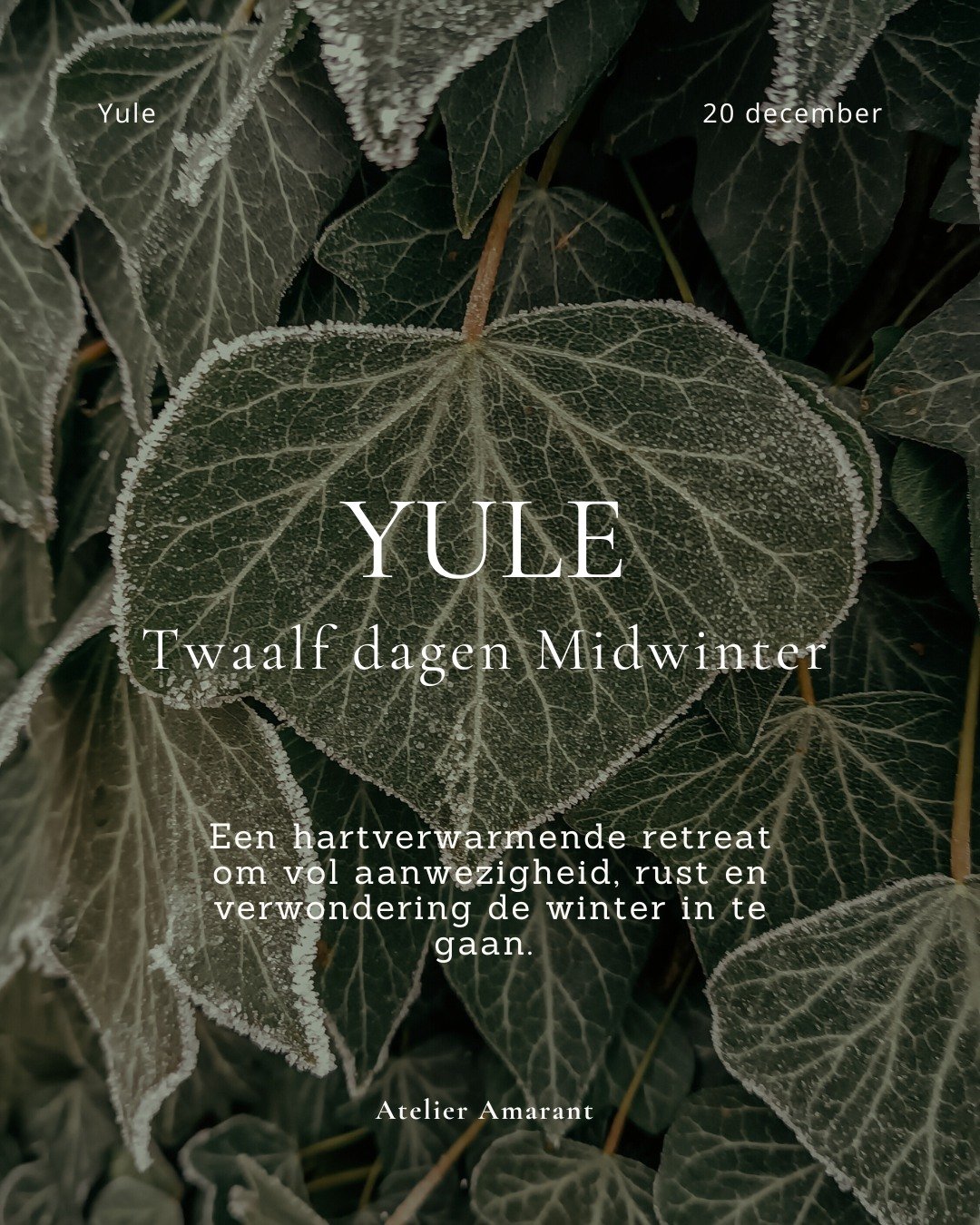 Omarm de diepe rust en wijsheid van het donkere seizoen. 

🌟Yule. Twaalf dagen Midwinter. 🌟

Een heerlijke midwinterretreat om het seizoen te beleven vanuit rust, magie en innerlijke wijsheid. Elke dag een moment voor jezelf, te midden van de - som