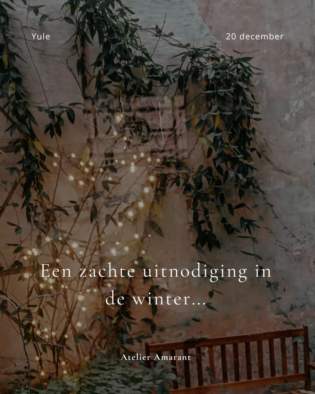 December. De maand van licht en donker. 

De dagen wat trager. De groeven wat dieper. De schaduw wat langer. 
Wanneer de lucht het donkerst is, schijnen de sterren het mooist. 

Laten we genieten van de omhelzing. De Rust. De warme mantel van Moeder 