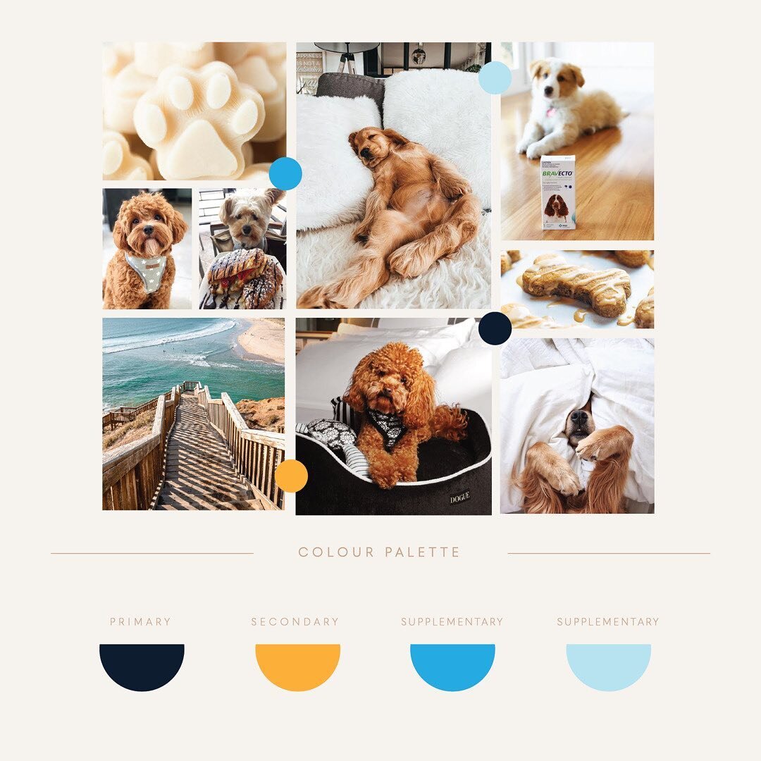 Now this was without a doubt the most fun we have had creating a mood board! ✨🐶 No matter what your business is, we can help you grow your sales and reach new business goals with our marketing packages!

Email us for more info info.attentionseeker@g