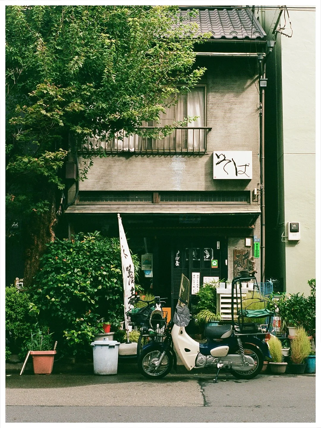 Around the neighborhood // October 2023

Dev/scan: @thackersfilmlab 
&bull;
#madewithkodak