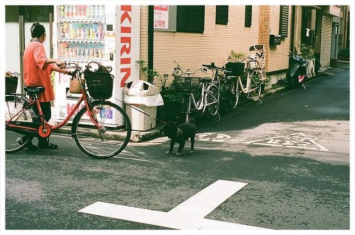 Pops of red and orange around Tokyo // October 2023

Dev/scan: @thackersfilmlab 
&bull;
#madewithkodak