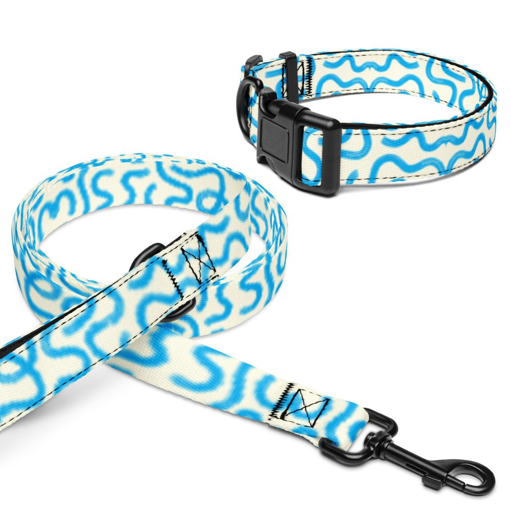 Slicke Doodle Dog Lead + Collar Set in Capri
