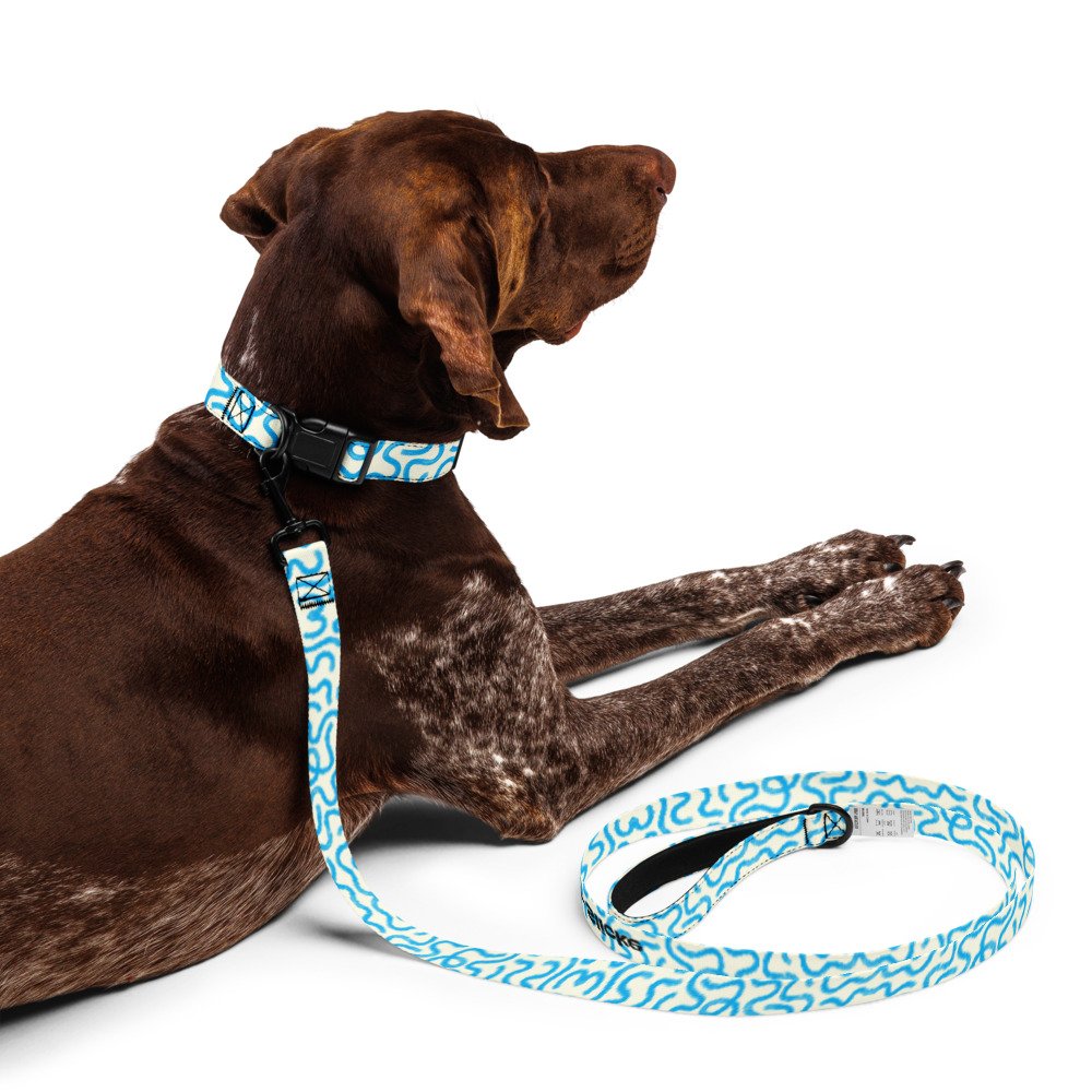 Slicke Doodle Dog Lead + Collar Set in Capri Worn