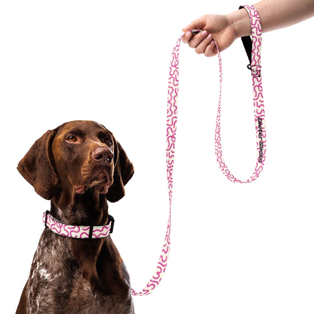 Slicke Doodle Dog Lead + Collar Set in Bubblegum Worn