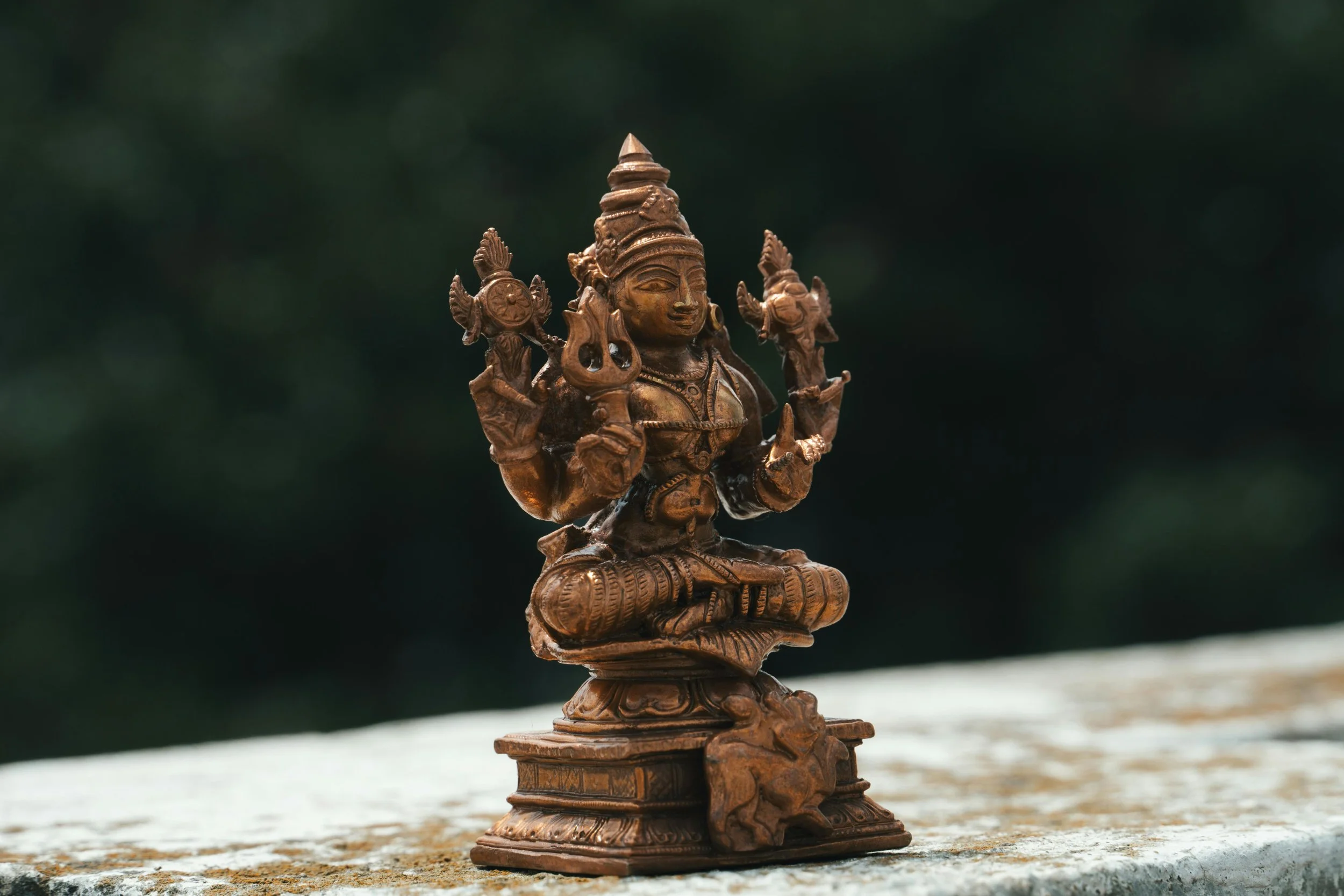 vishnupexels-suhashanjar-33550185.jpg