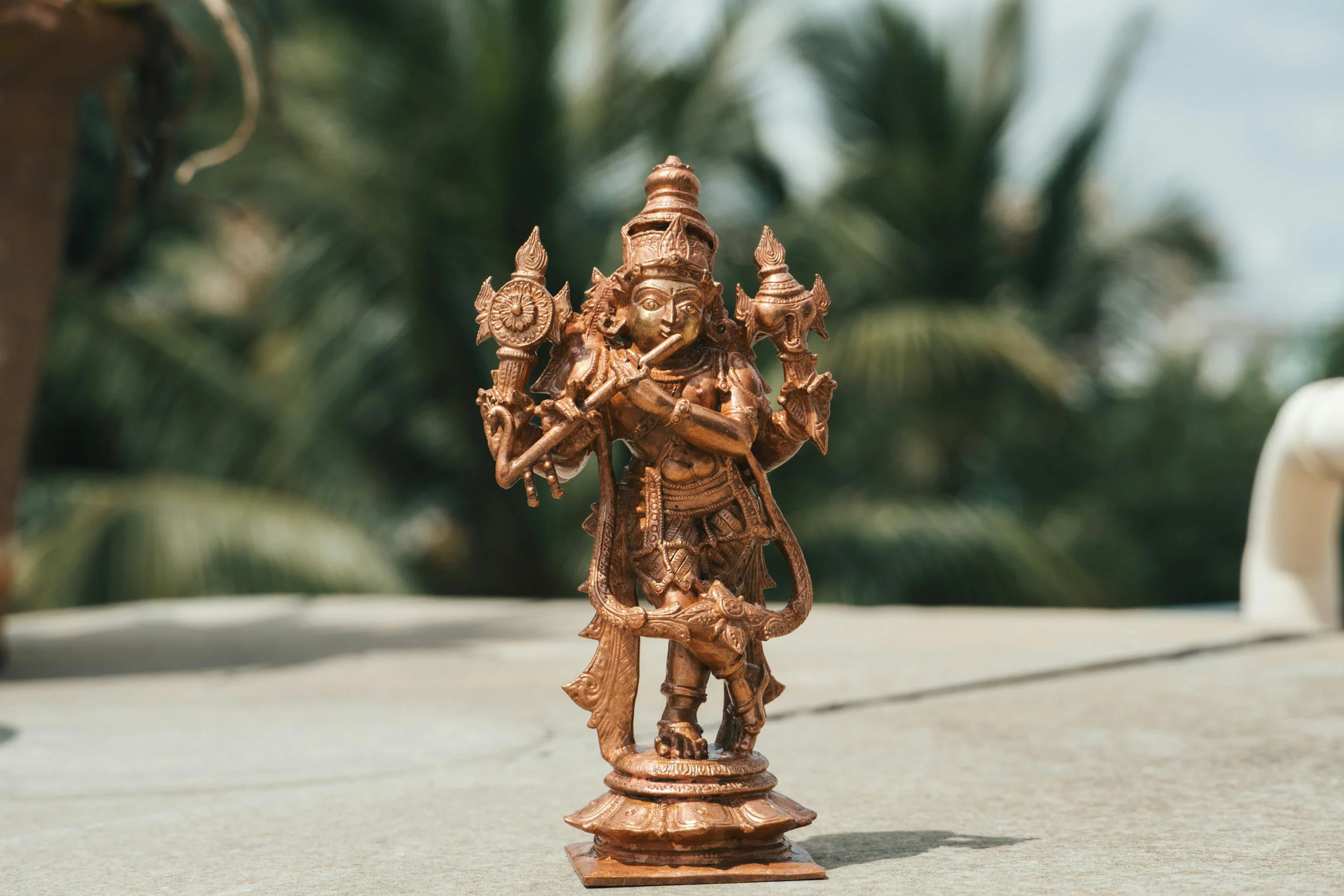 krishnapexels-suhashanjar-33565465.jpg