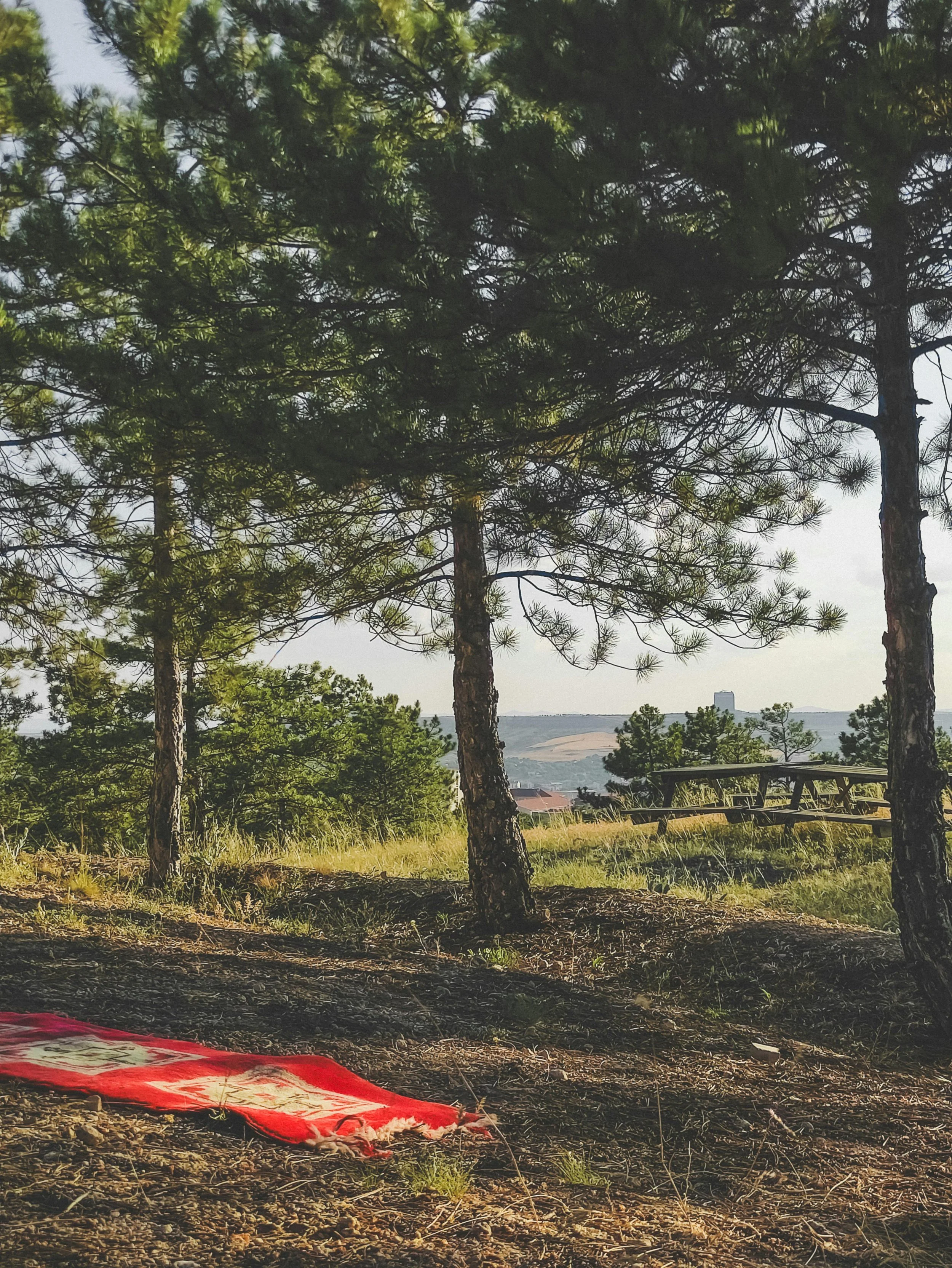 meditation spot in nature