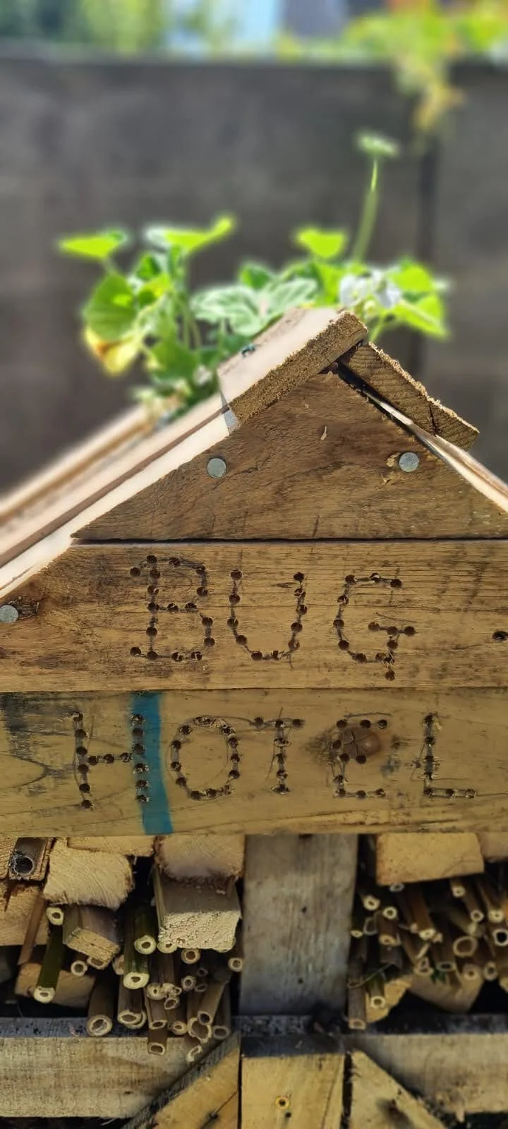 Bug Hotel - All About Gardens