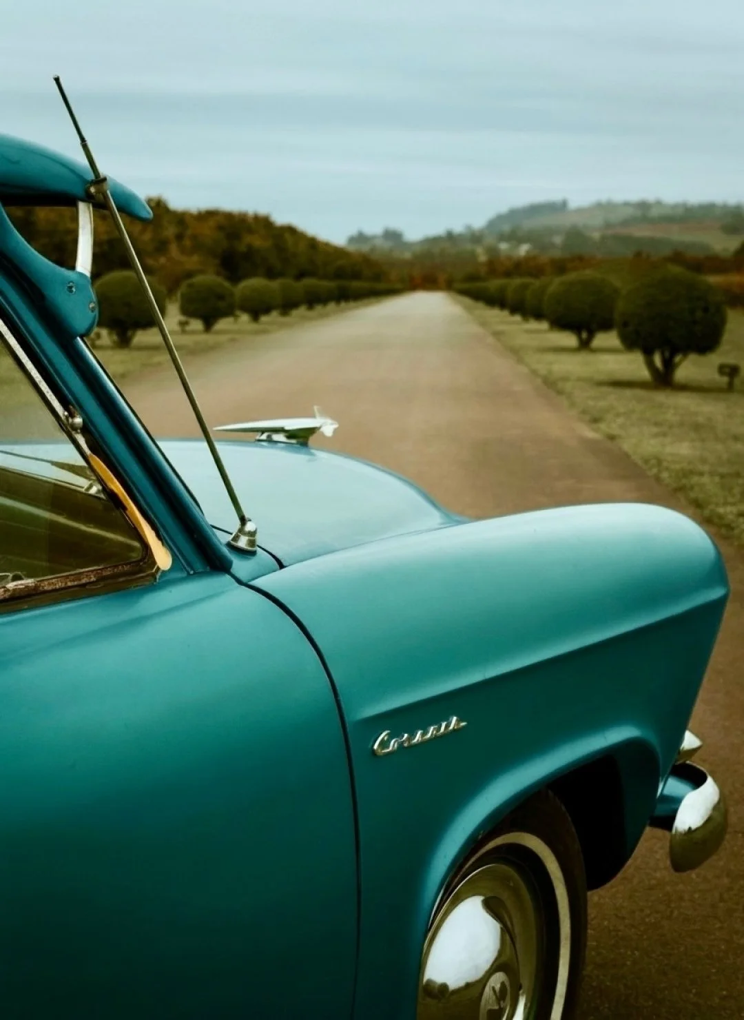 🦐 This weekend 🦐

Rockynats is back in town!

We&rsquo;re on Uber Eats with a lineup of seafood toasties ready to go when you need to refuel.

Garlic prawn, prawn and pepperoni, curried prawn, marinara and smoked salmon.

Open til late.

🛵 Deliver