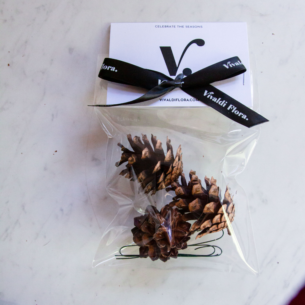 Natural Pine Cone Ornaments- 3 pack — Vivaldi Flora