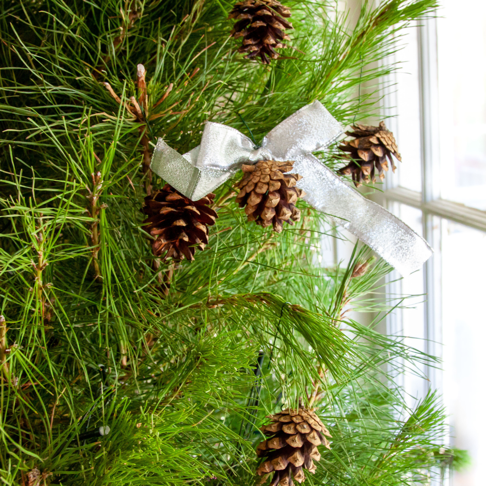 Natural Pine Cone Ornaments- 3 pack — Vivaldi Flora