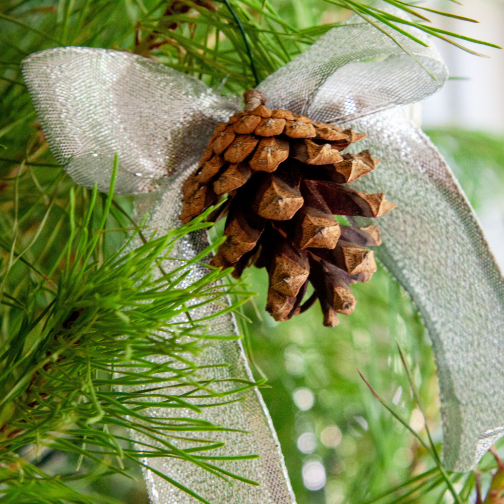 Pine Cone オーナメント Natural Pine Cone + Bow Ornaments- 3 pack — Vivaldi Flora