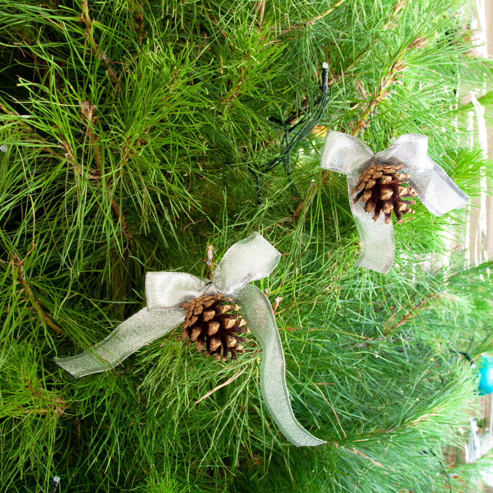 Natural Pine Cone + Bow Ornaments- 3 pack — Vivaldi Flora