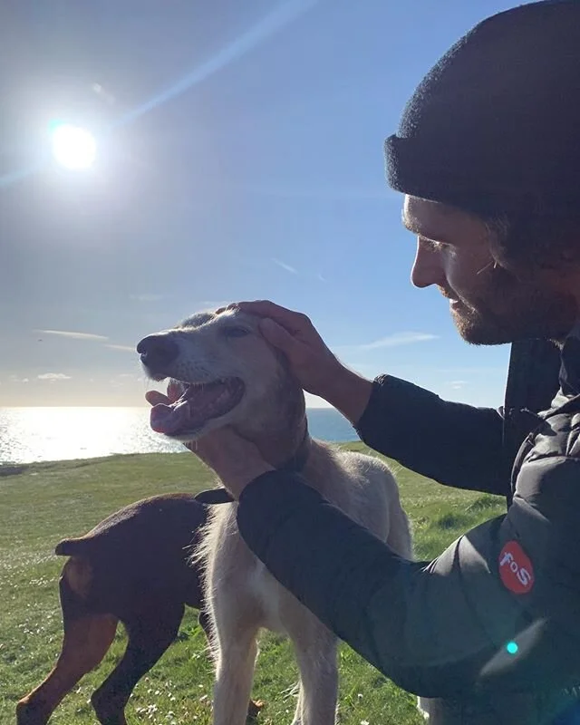 Chasing rabbits in the sky. What a wonderful doggy Finn was. Some schnoops are special and he was one of them.Thinking of the magical humans connected to This special hound today x x x x