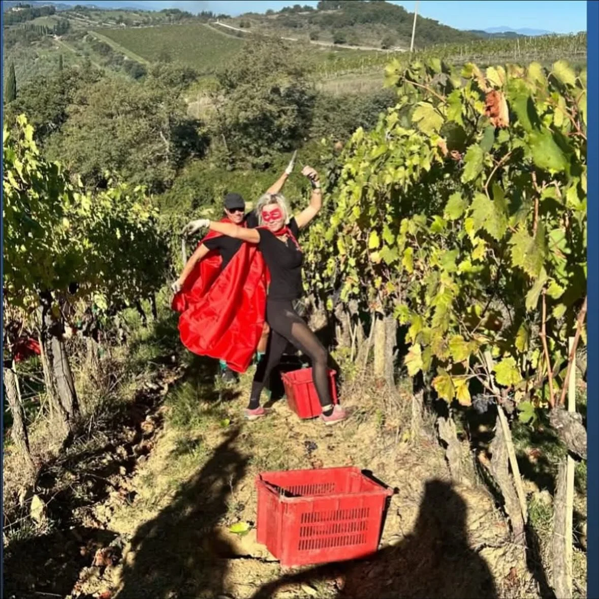 More harvest vibes from the super heros 🦹&zwj;♂️🦹&zwj;♀️